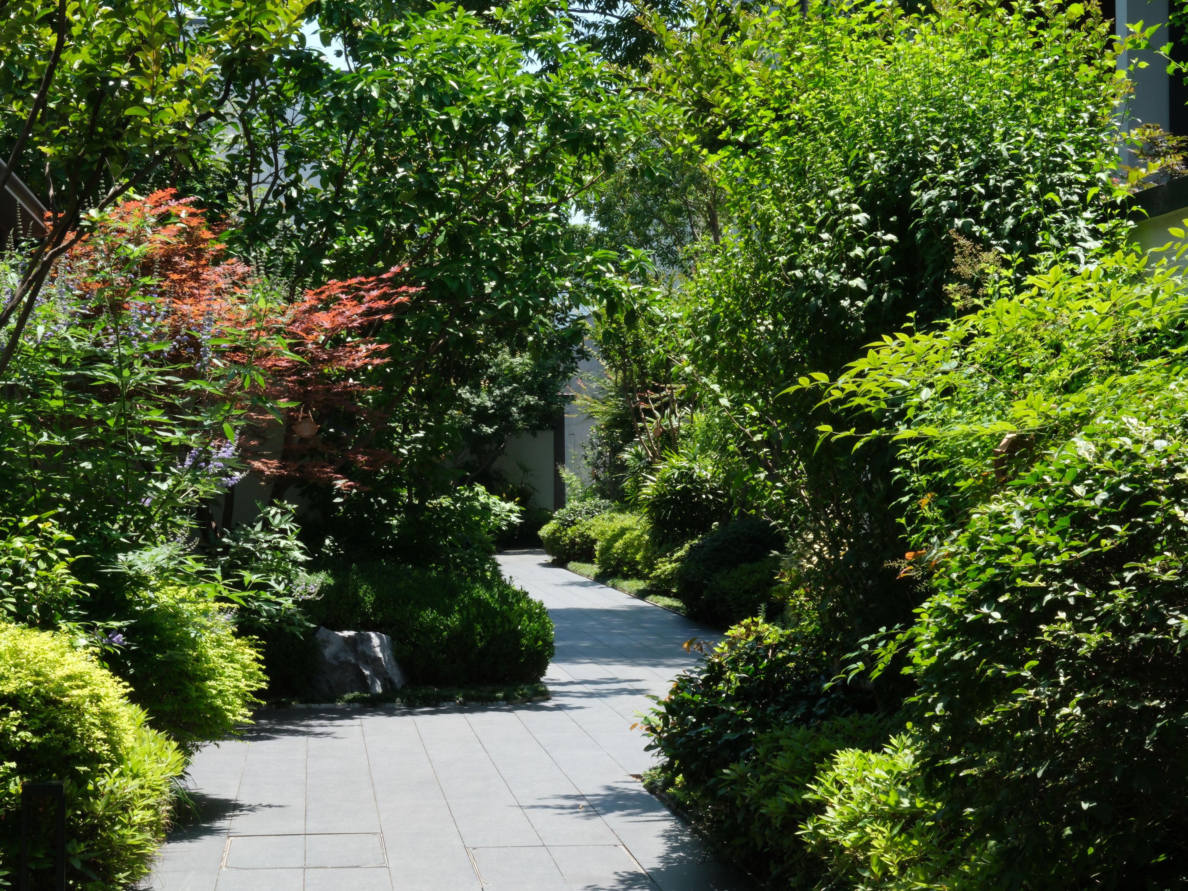 Lush summer