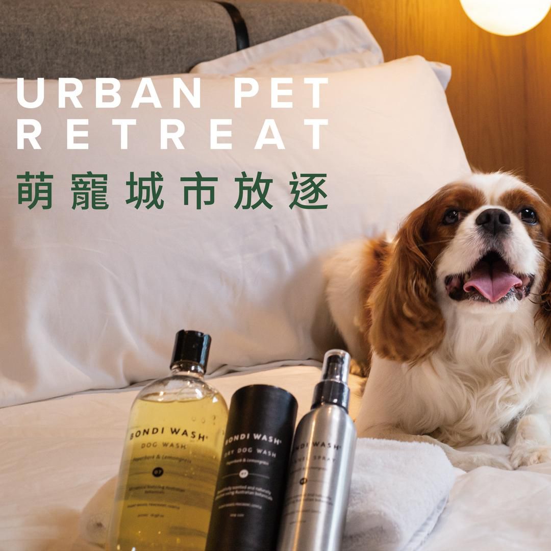歸隱山林_治癒塵心