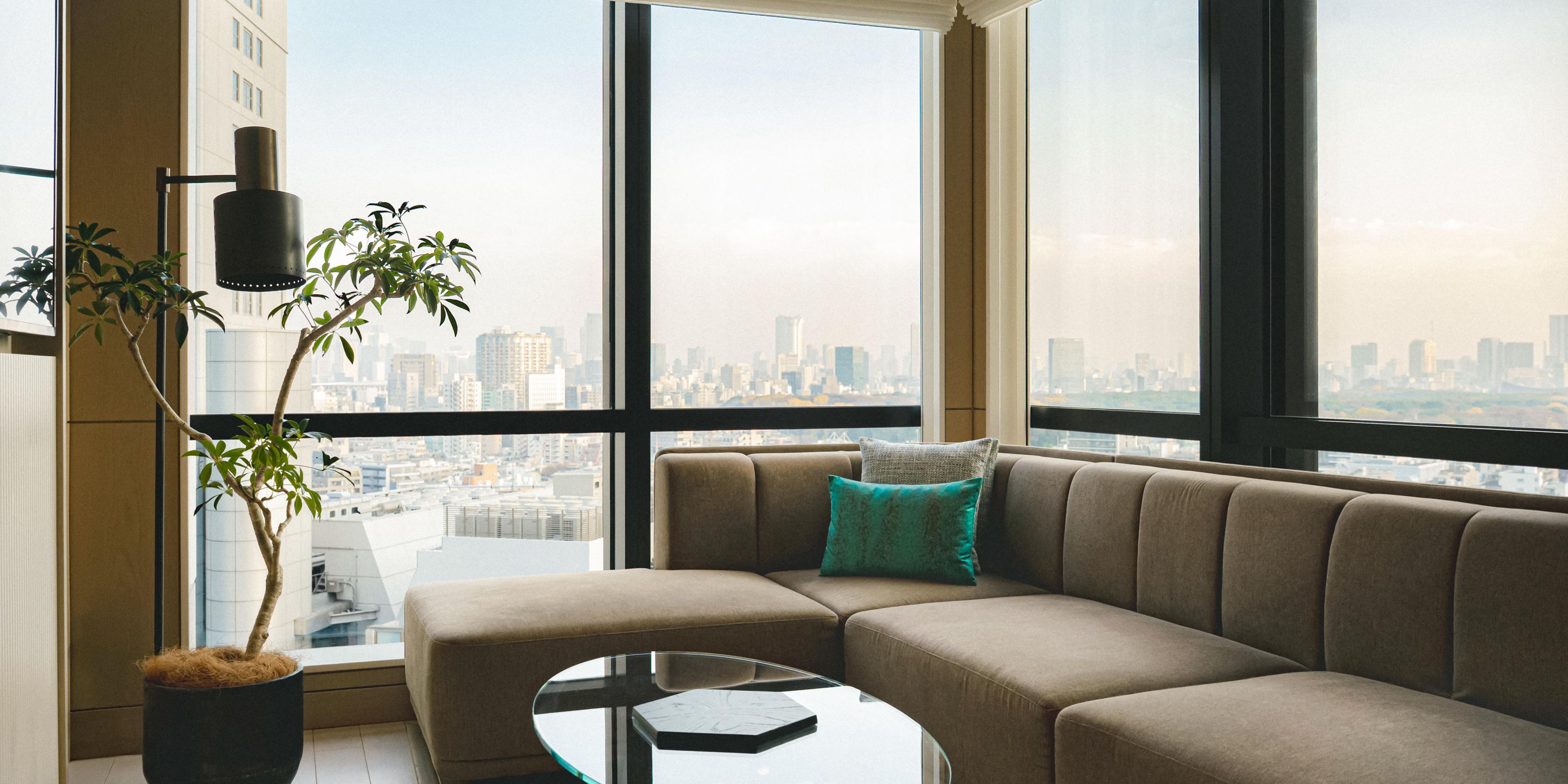 Studio Suite Living Area