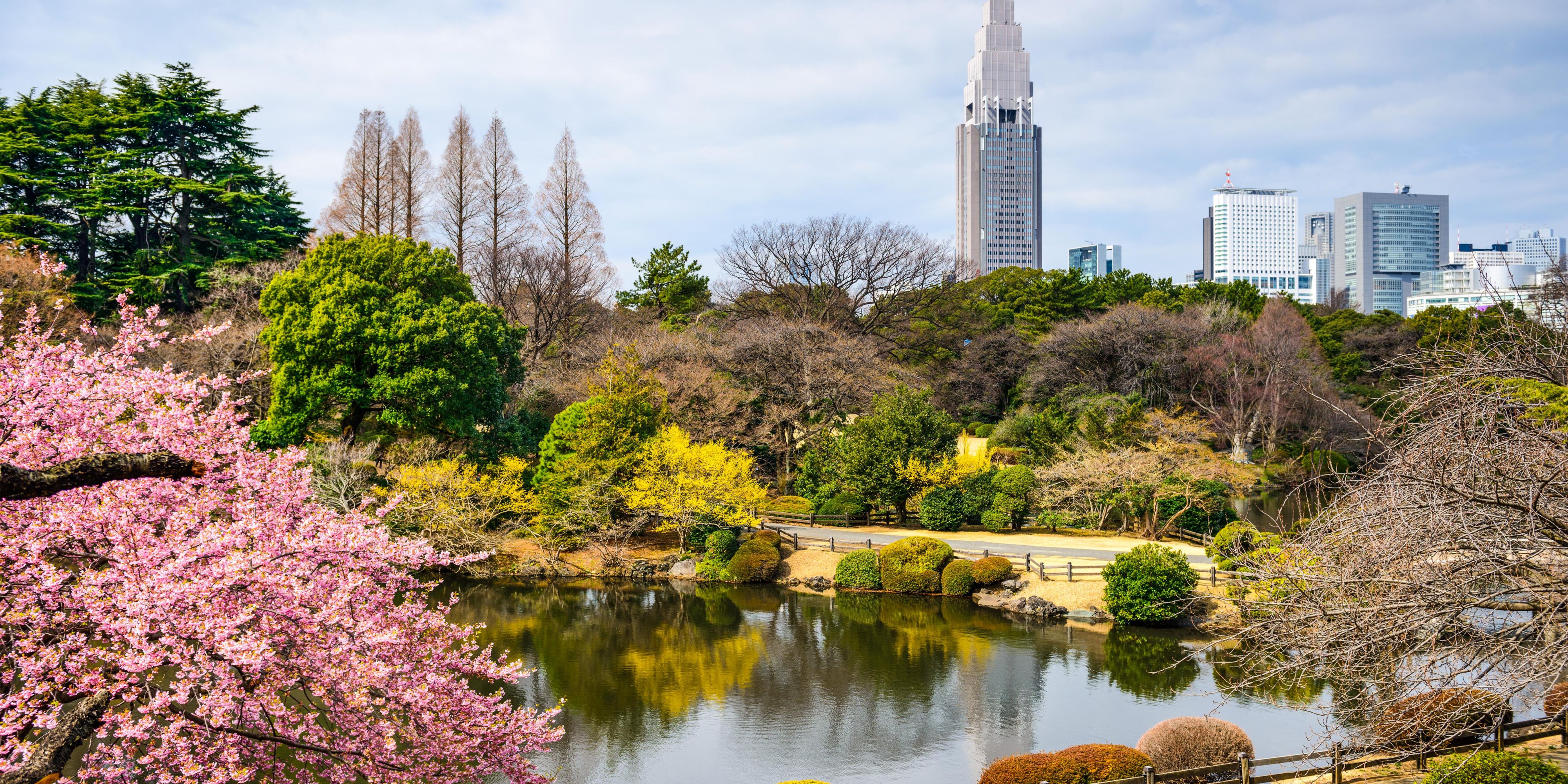 Shinjuku Gyoen