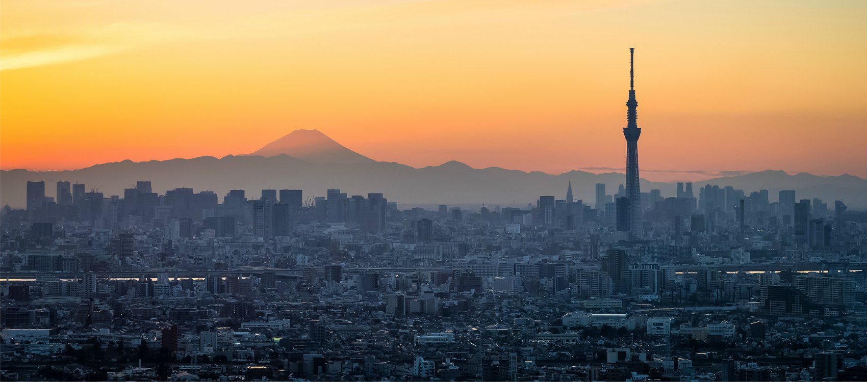 View of Tokyo city scape at dusk 