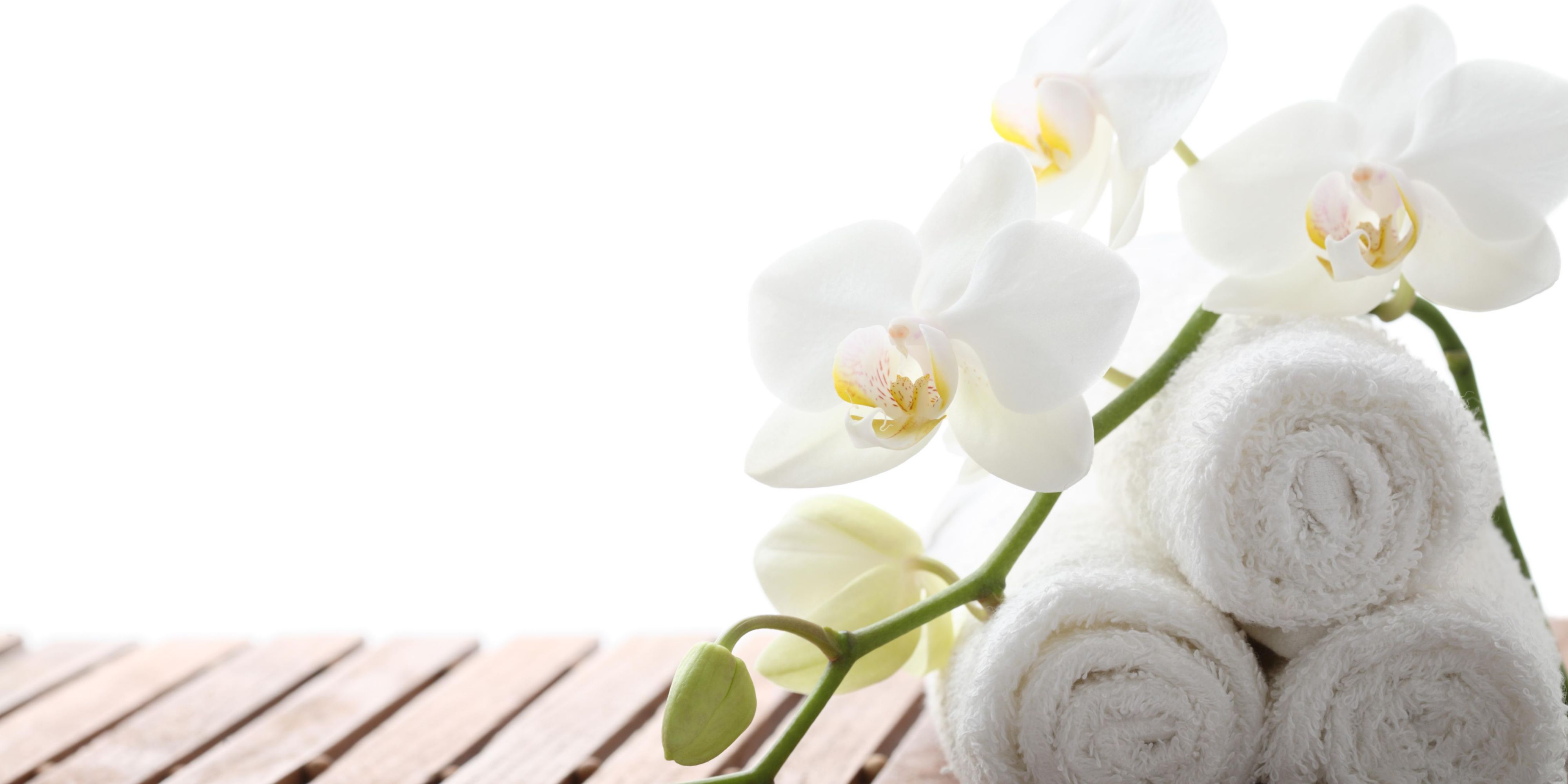 Czech Massage Full: Melt Away Your Stress - hduk5j9