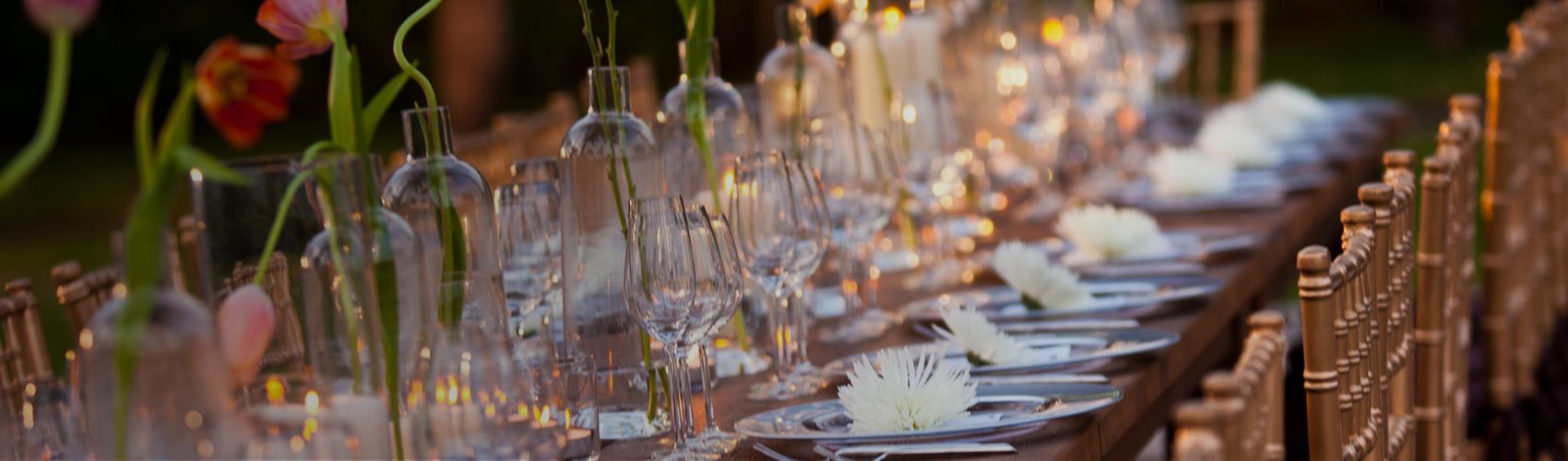 Long dining table set with elegant dishes and flowers 