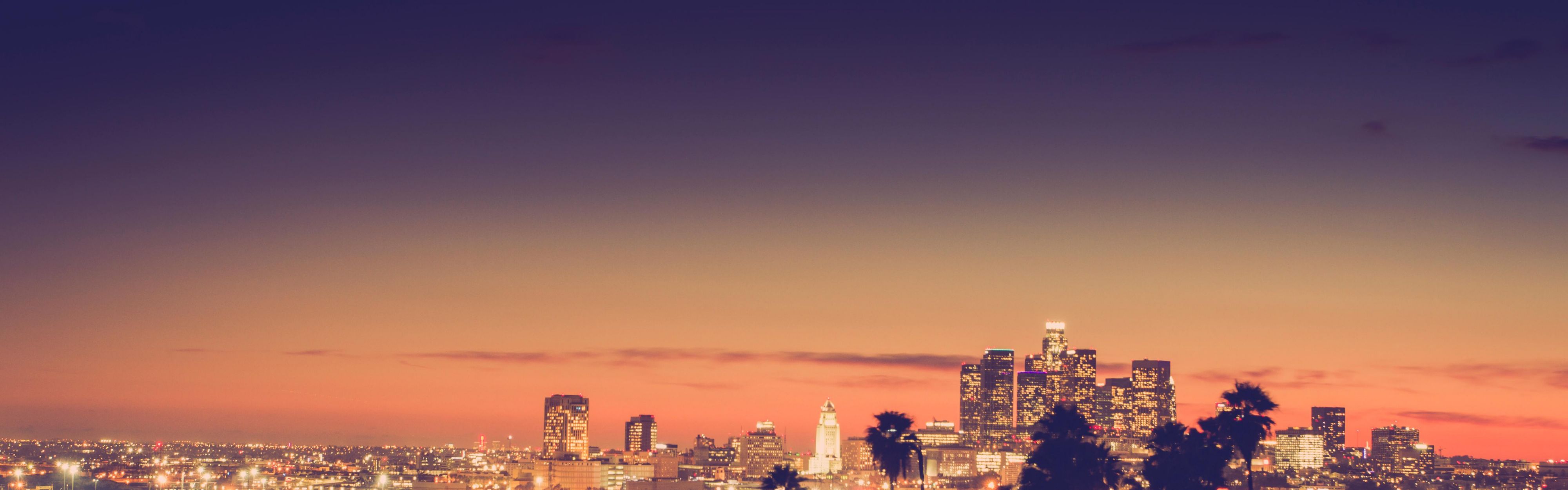 LA Skyline at Night