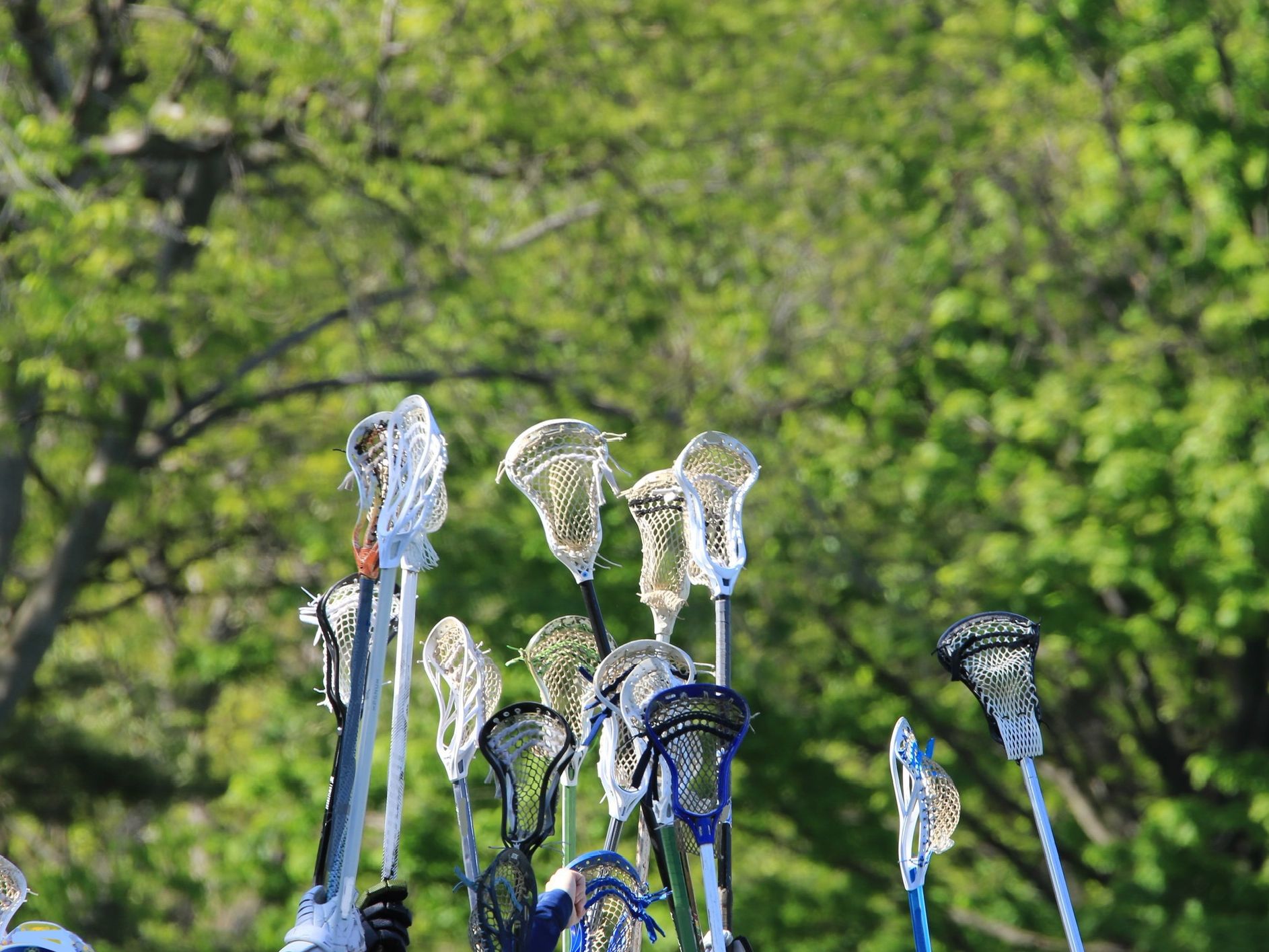 lacrosse