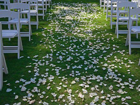 Set up for a memerable outdoor lawn wedding