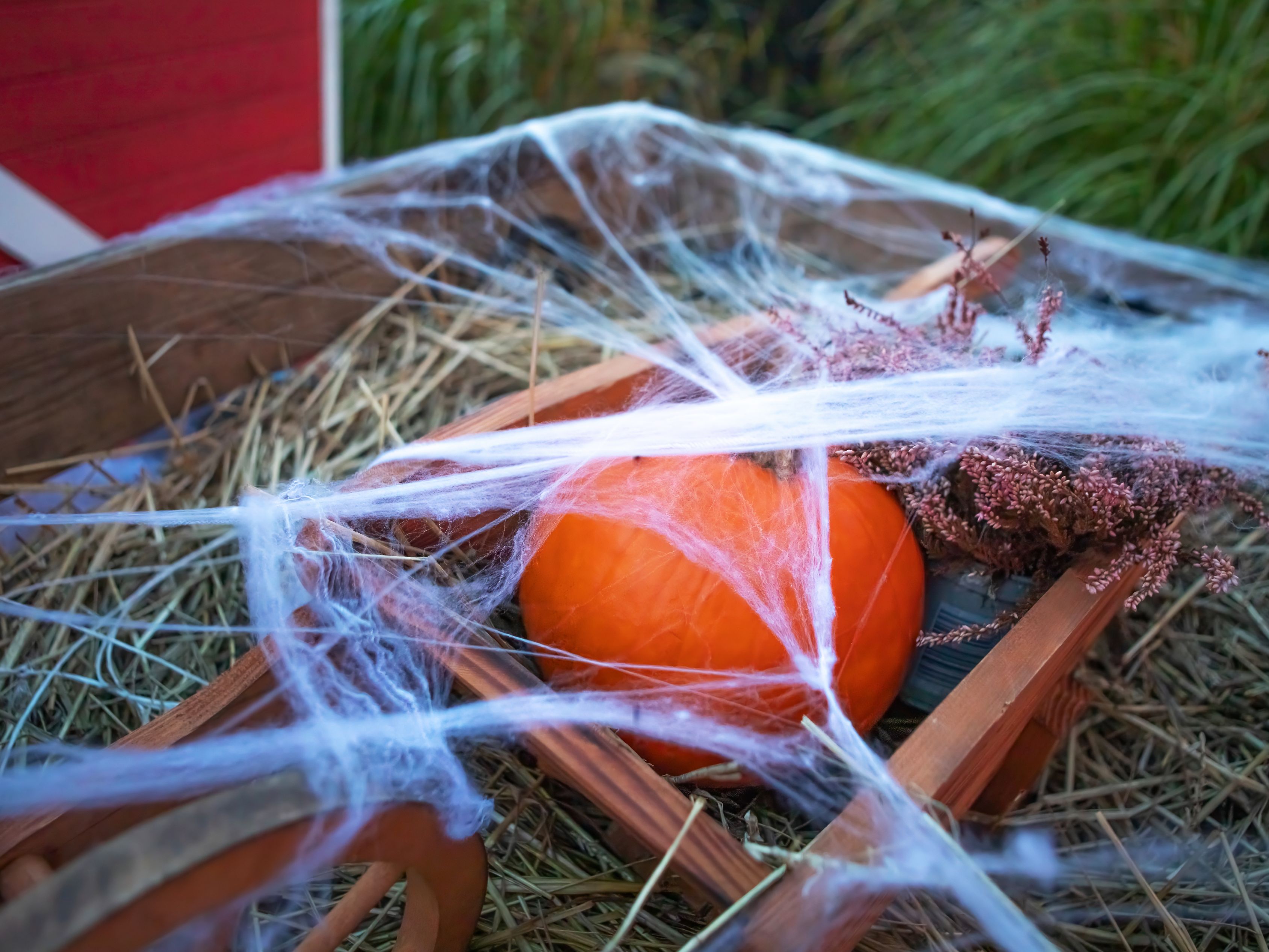 Hay ride with pumpkins and spider webs