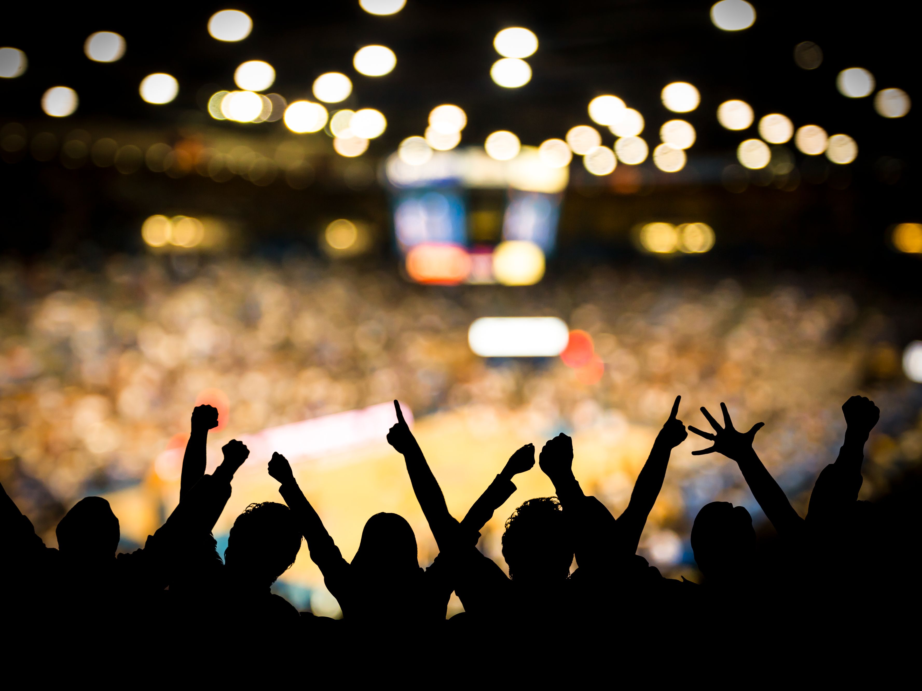 basektball arena