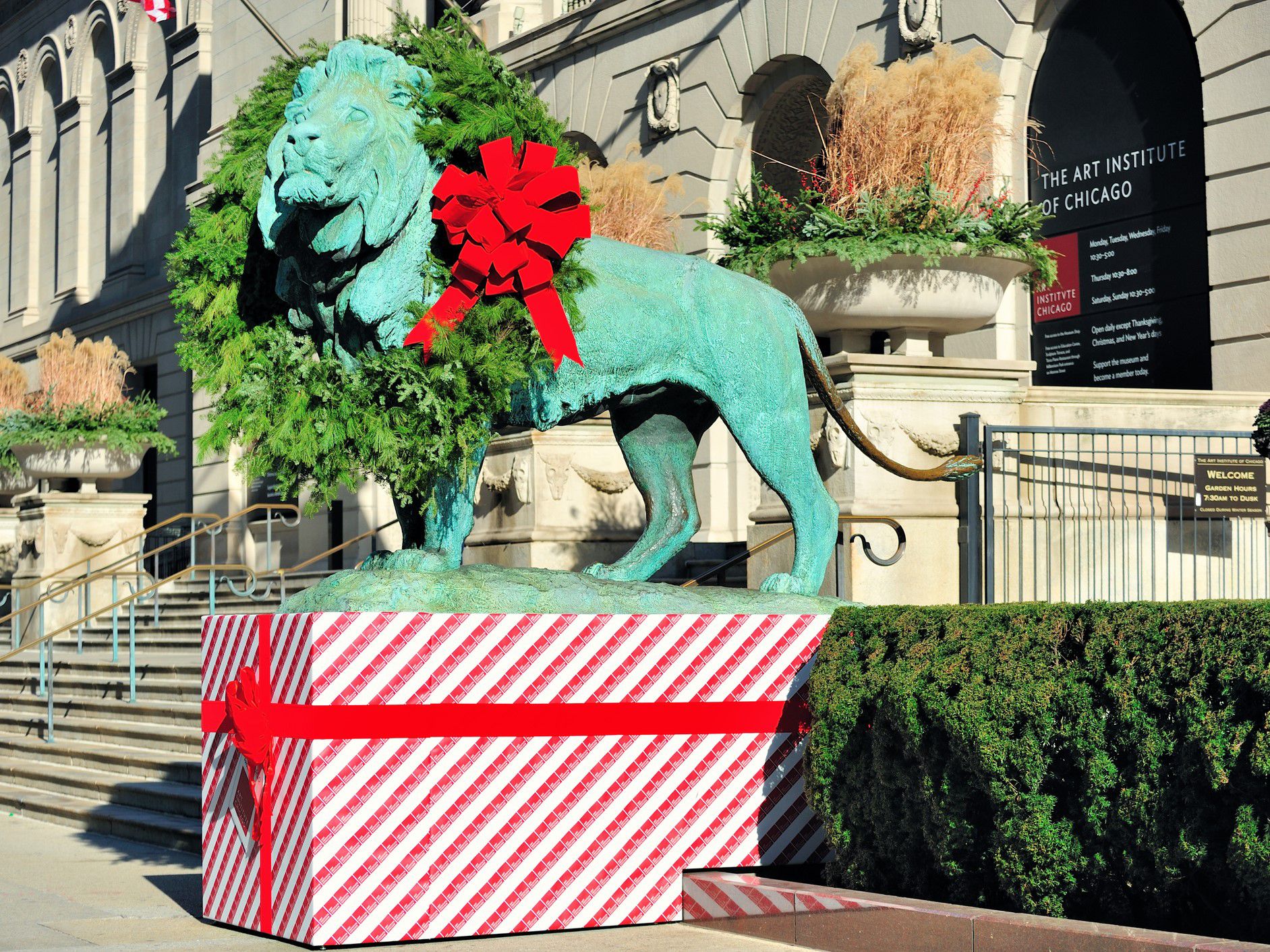 Lion's wreathing in Chicago at the Art Institute