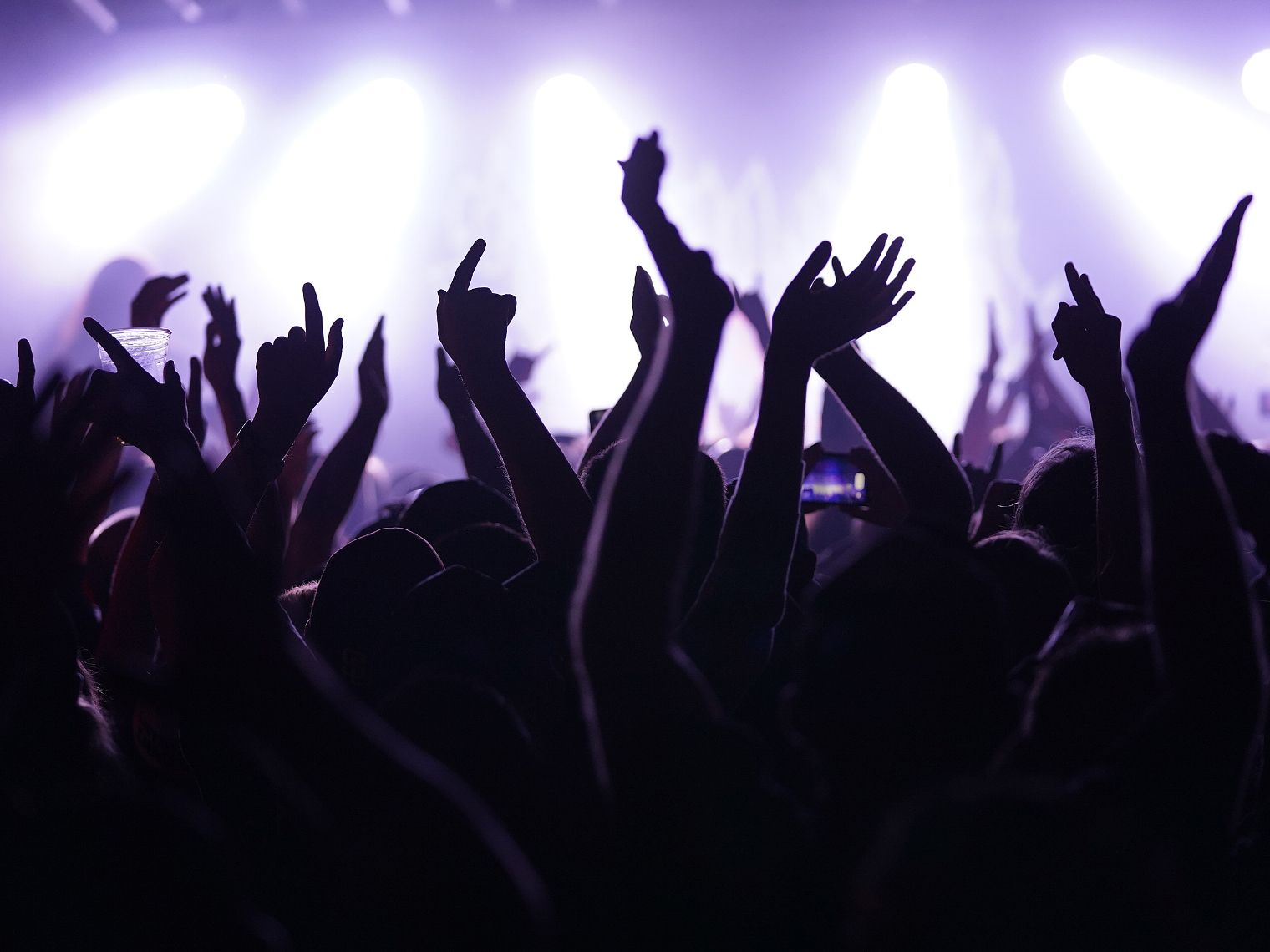Guests enjoying live concert