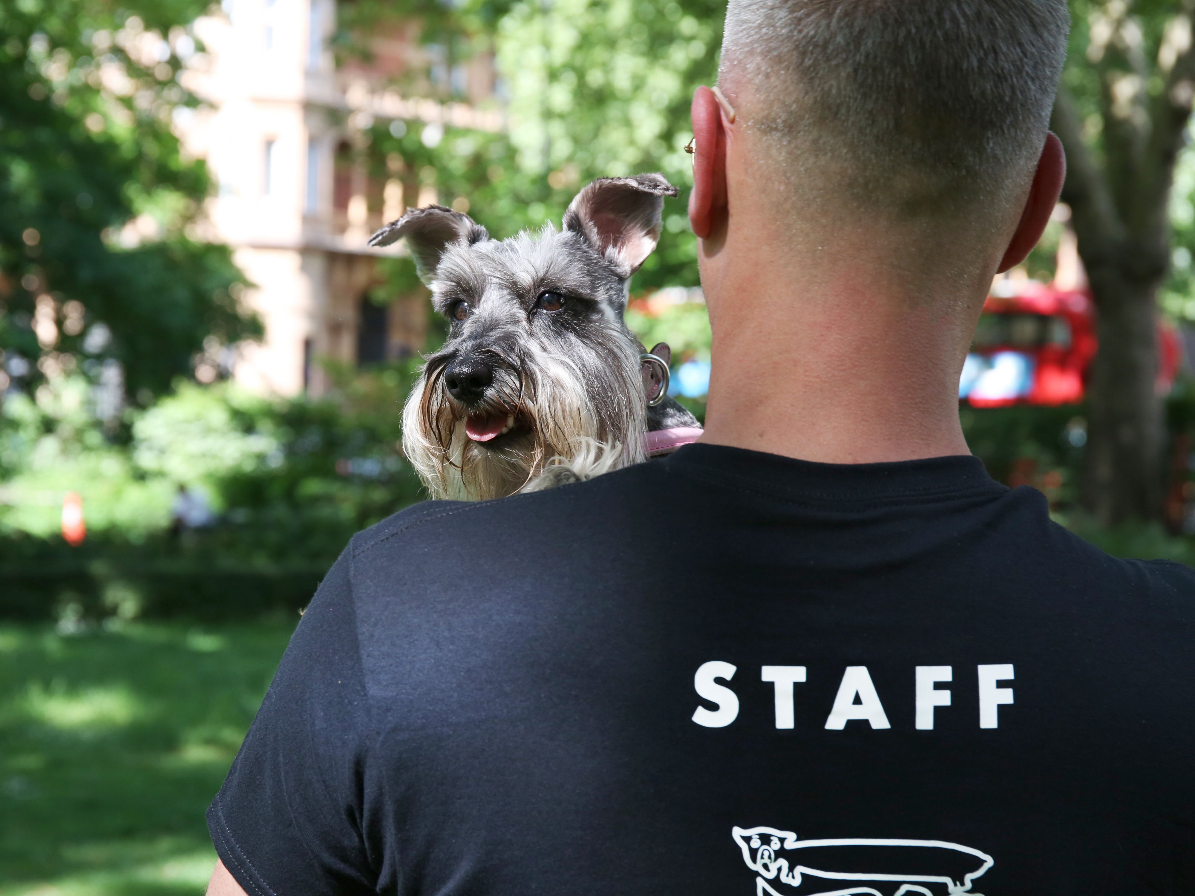 Man holding a dog