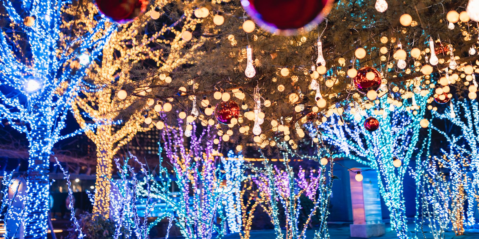 Christmas tree lights and decor at park