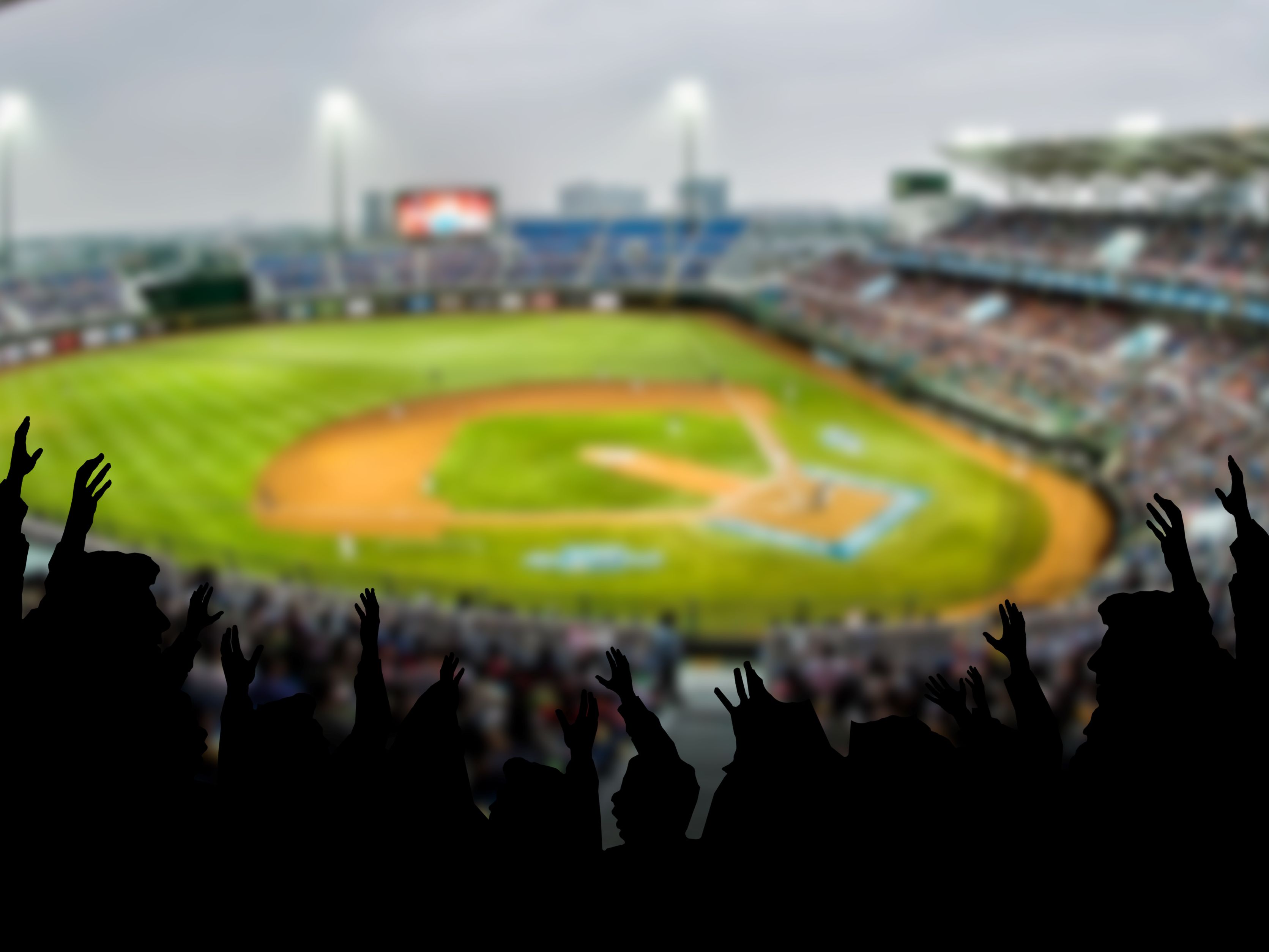 crowd at baseball game