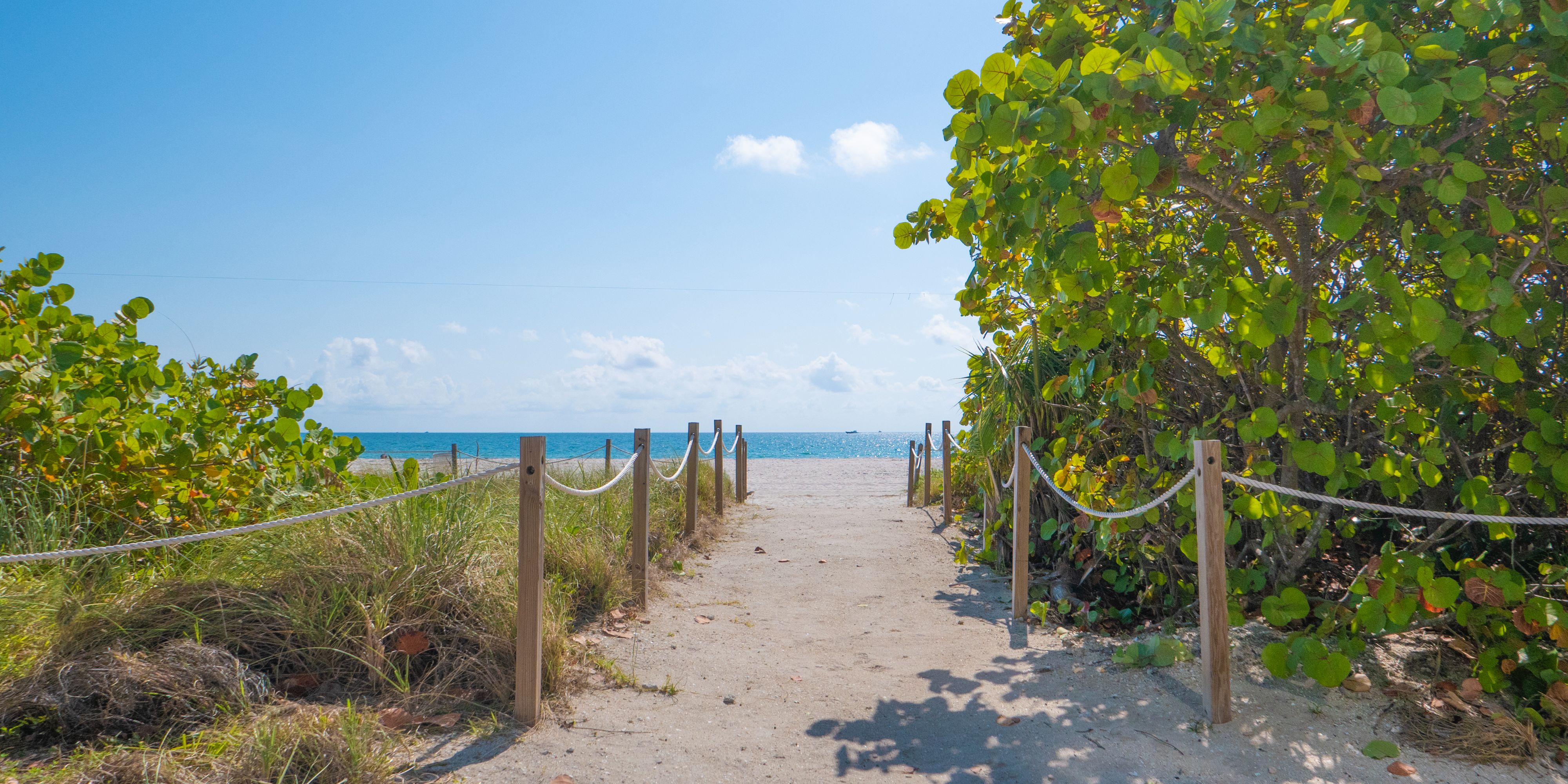 Sandy pathway to Mid-Beach bordered by lush coastal vegetation and ocean views.