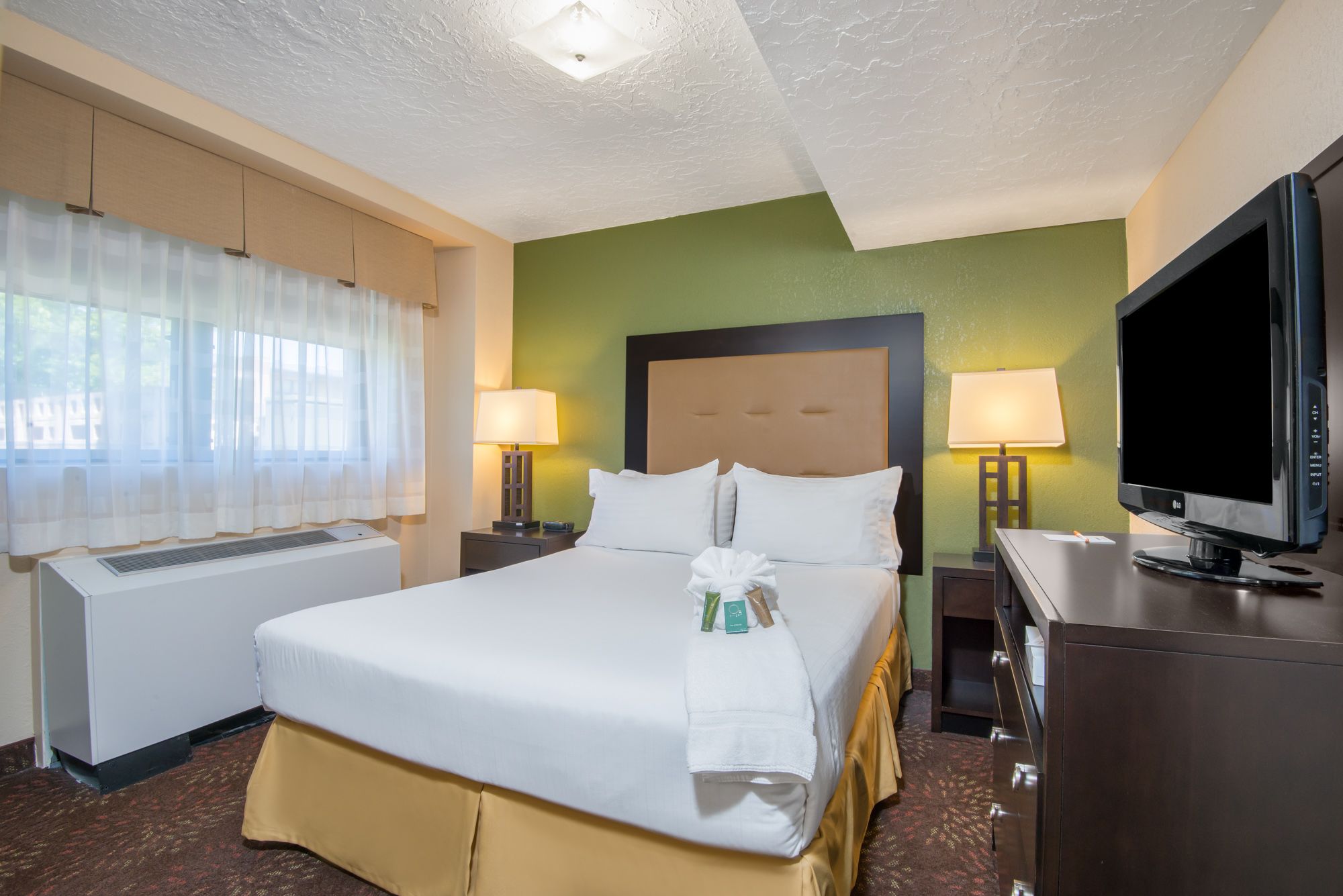 Queen Bed Guest Room