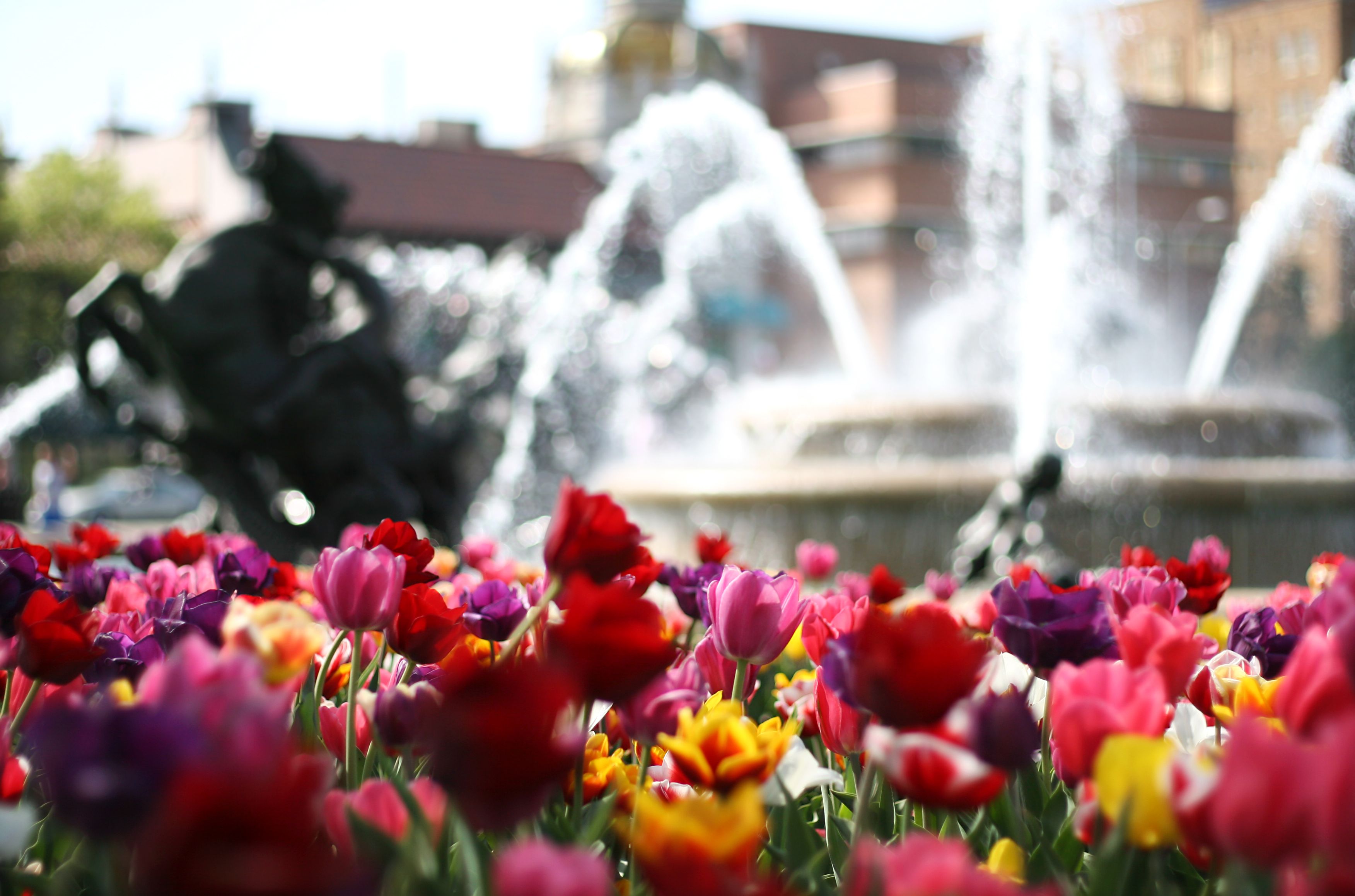 InterContinental Kansas City Florals