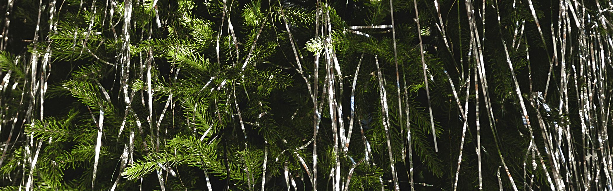 Christmas tree with tinsel