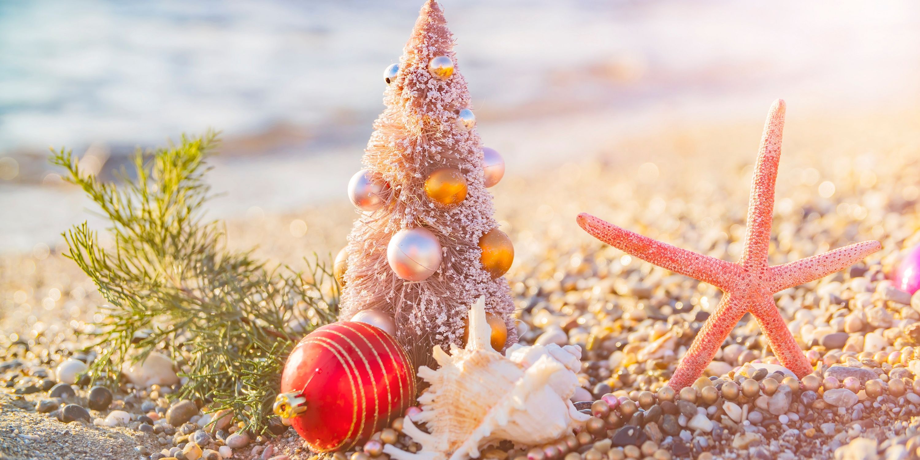 Christmas decor and shells on the beach.