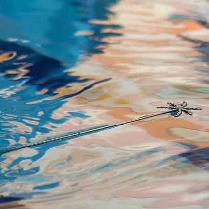 Take a dip in the pool