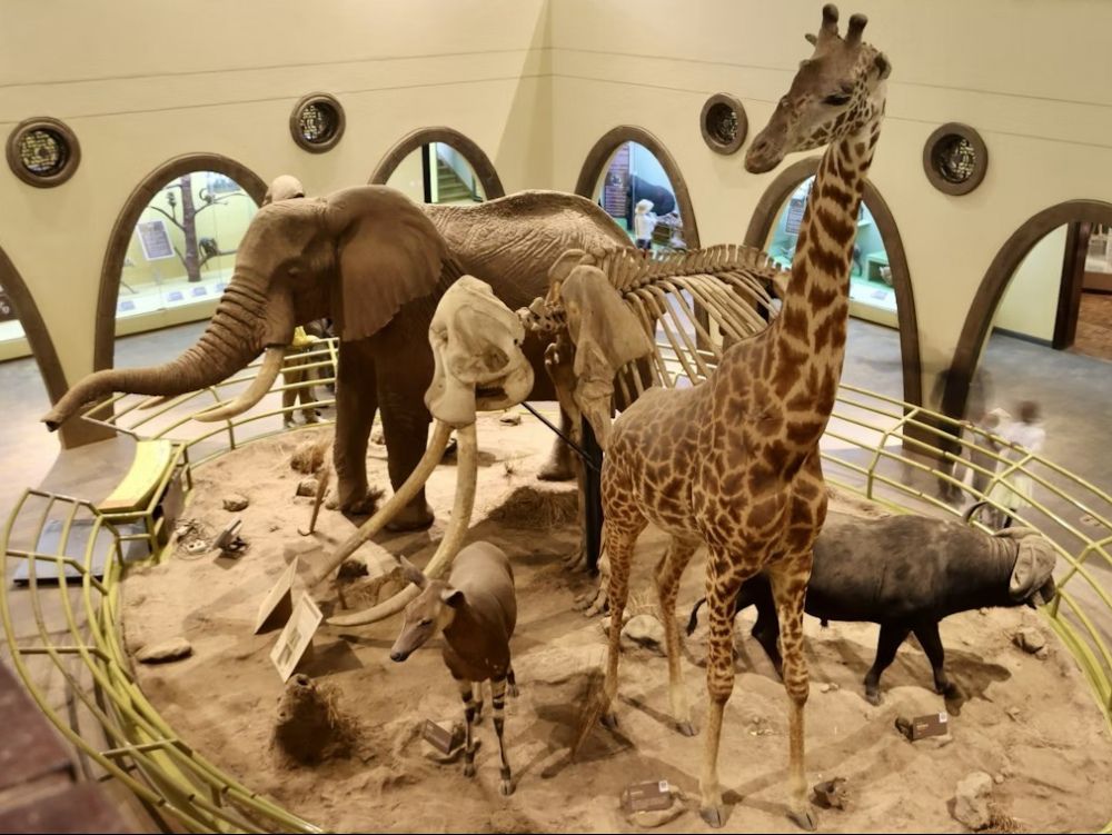 nairobi-national-museum