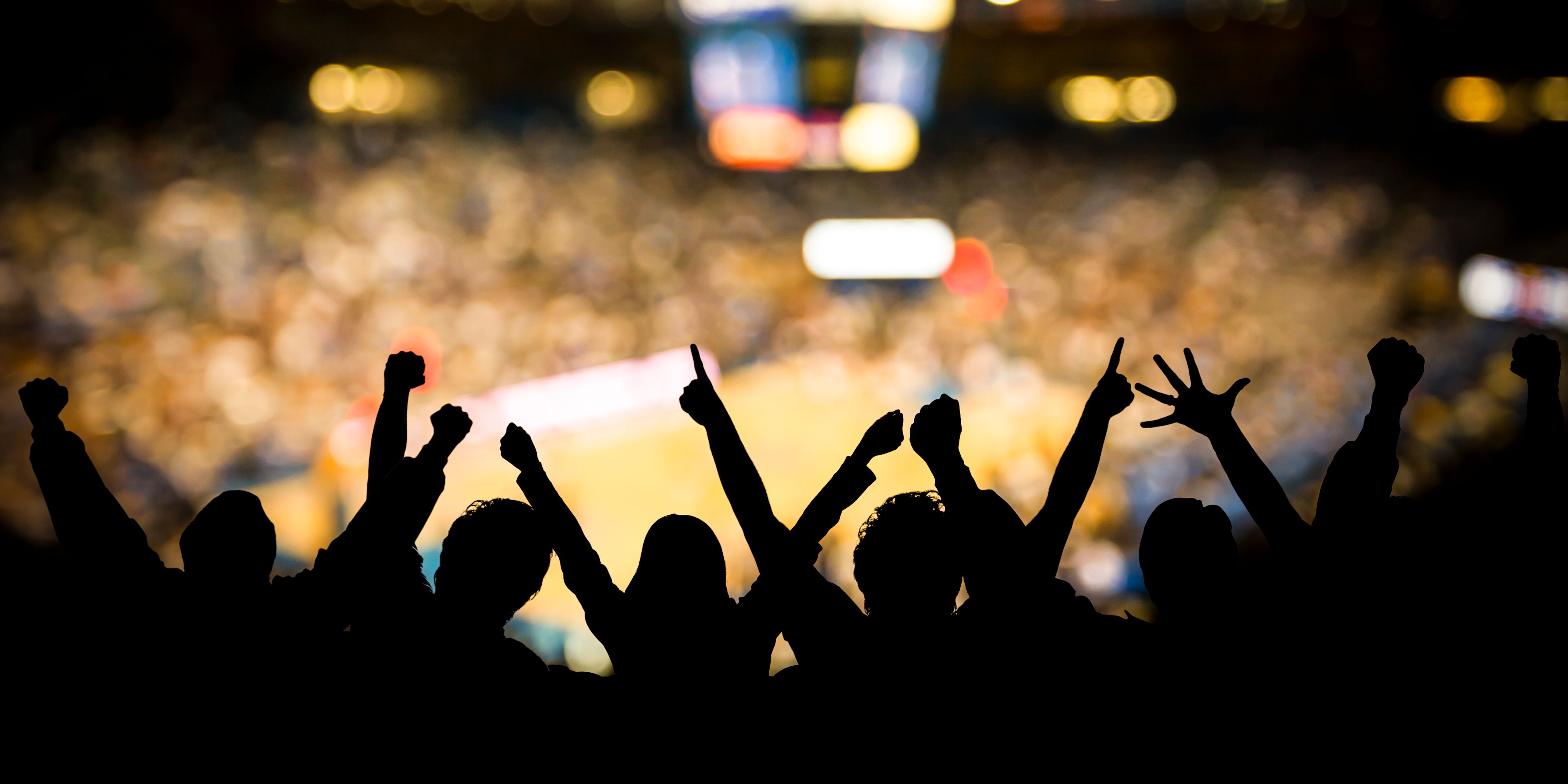Fans cheering at a basketball game