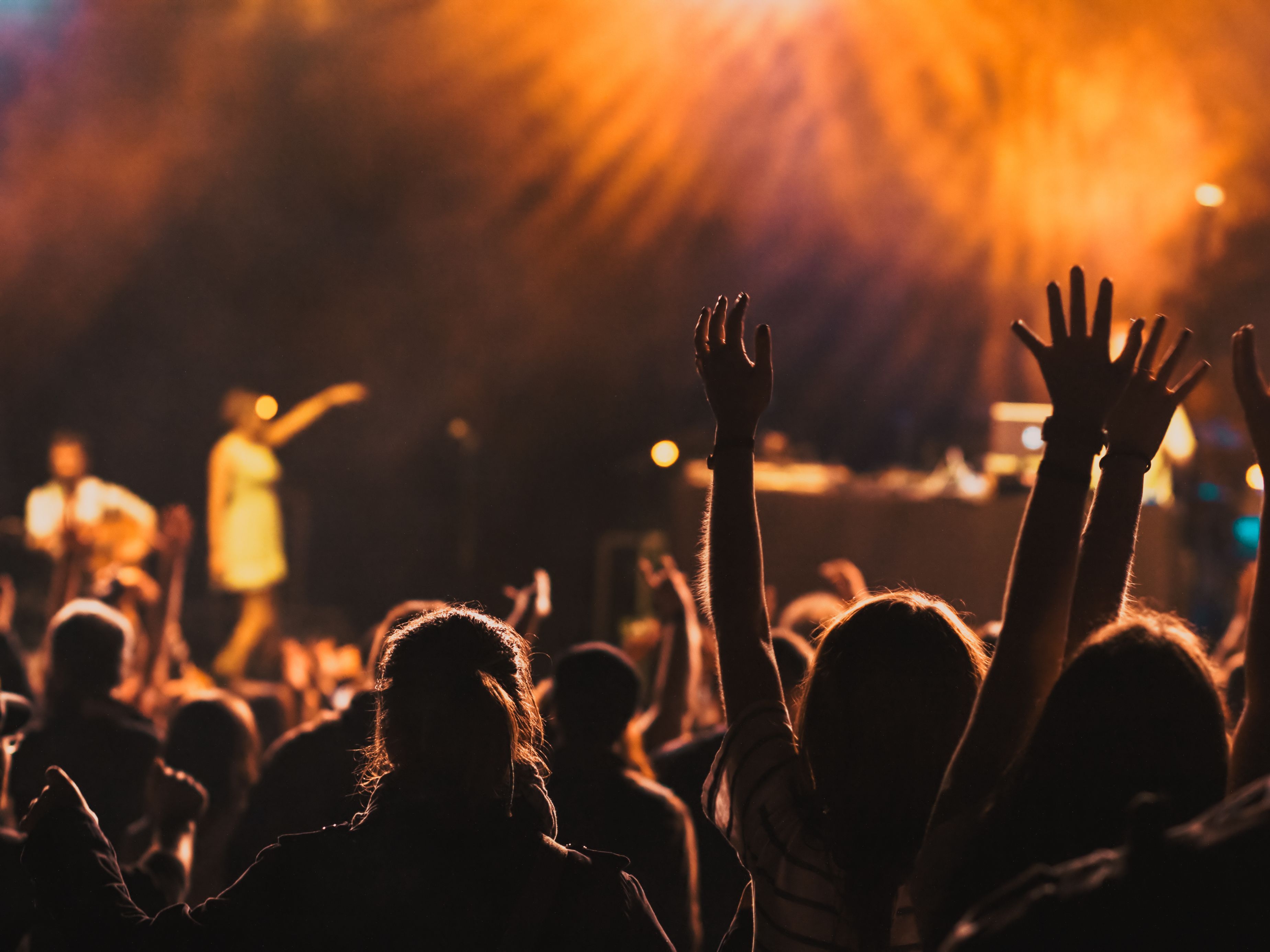 Crowd at a concert