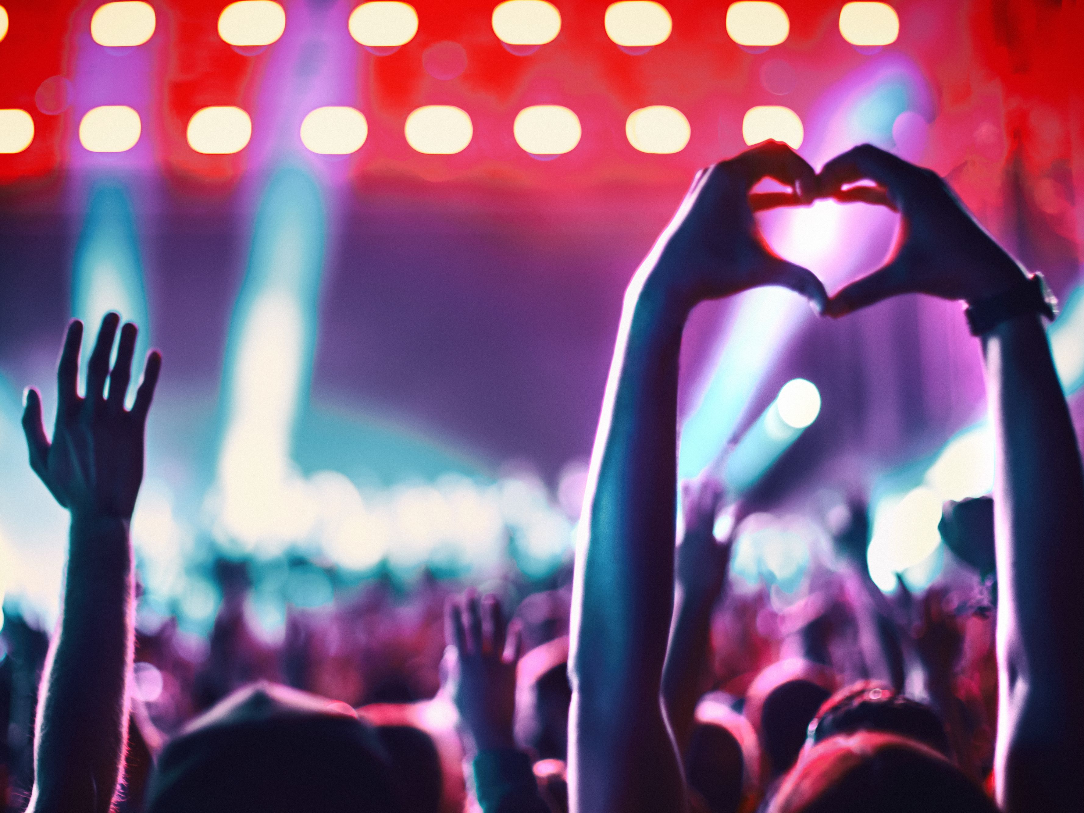 Crowd at a concert