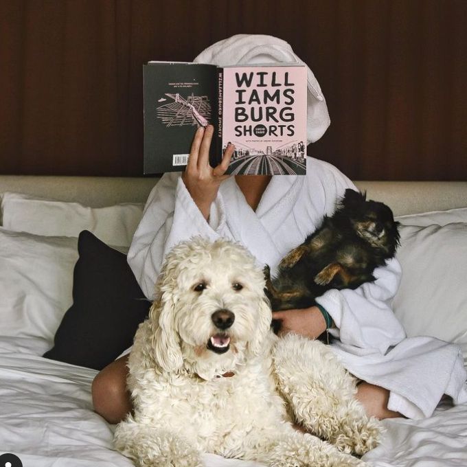 Woman sitting on bed with two dogs reading a book