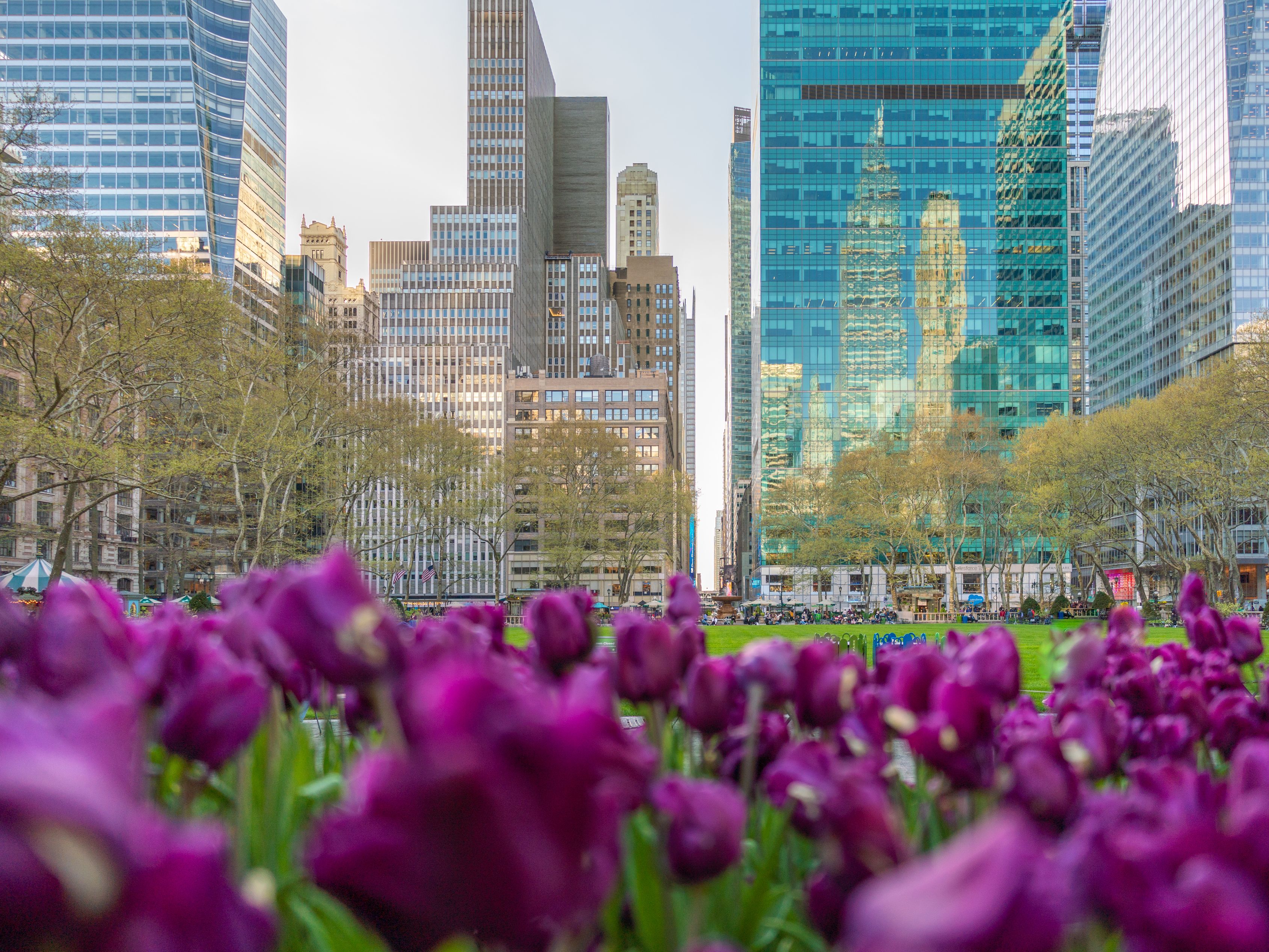 Bryant Park in springtime 