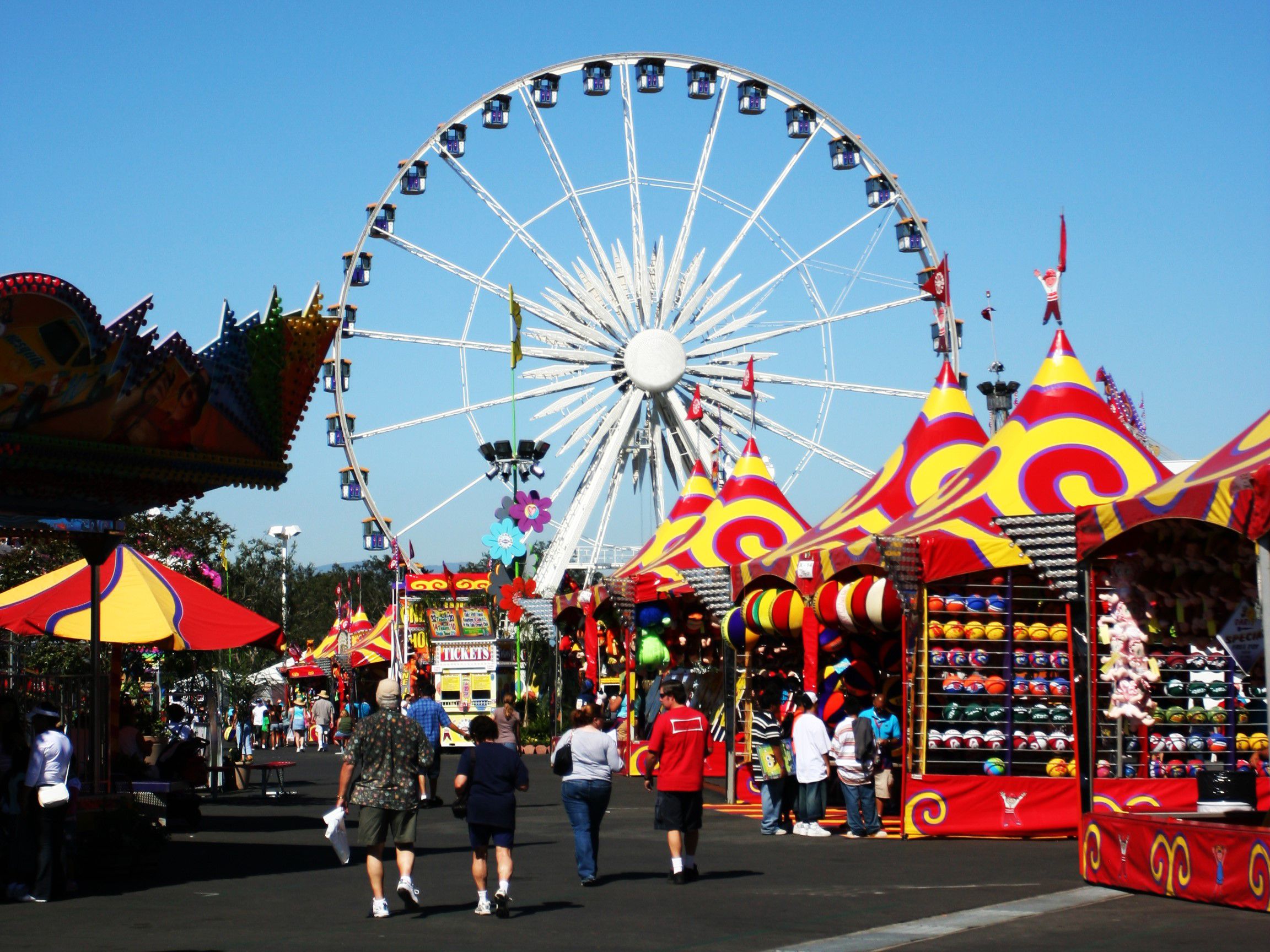 Fair grounds with a ferris wheel