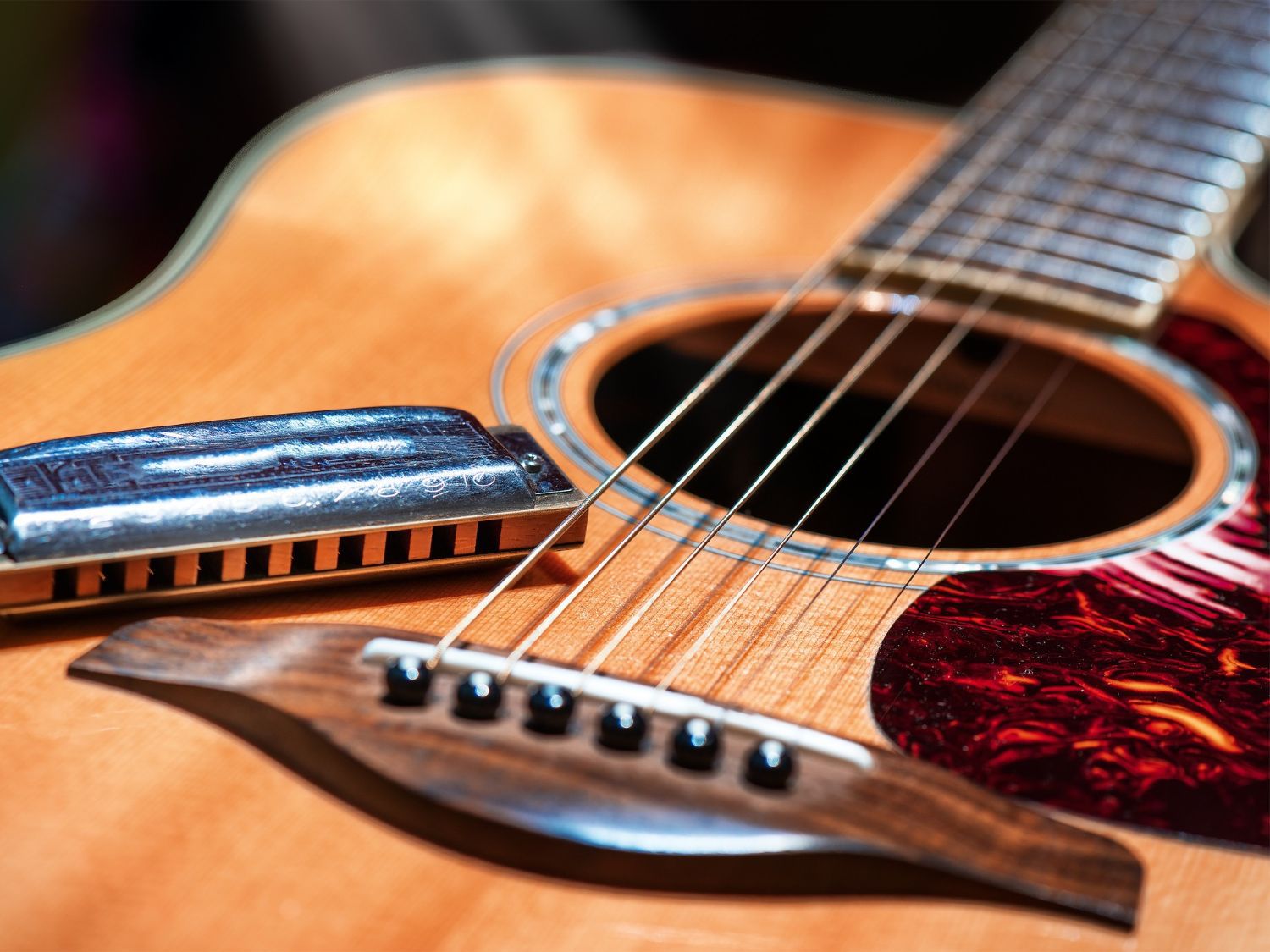 Guitar