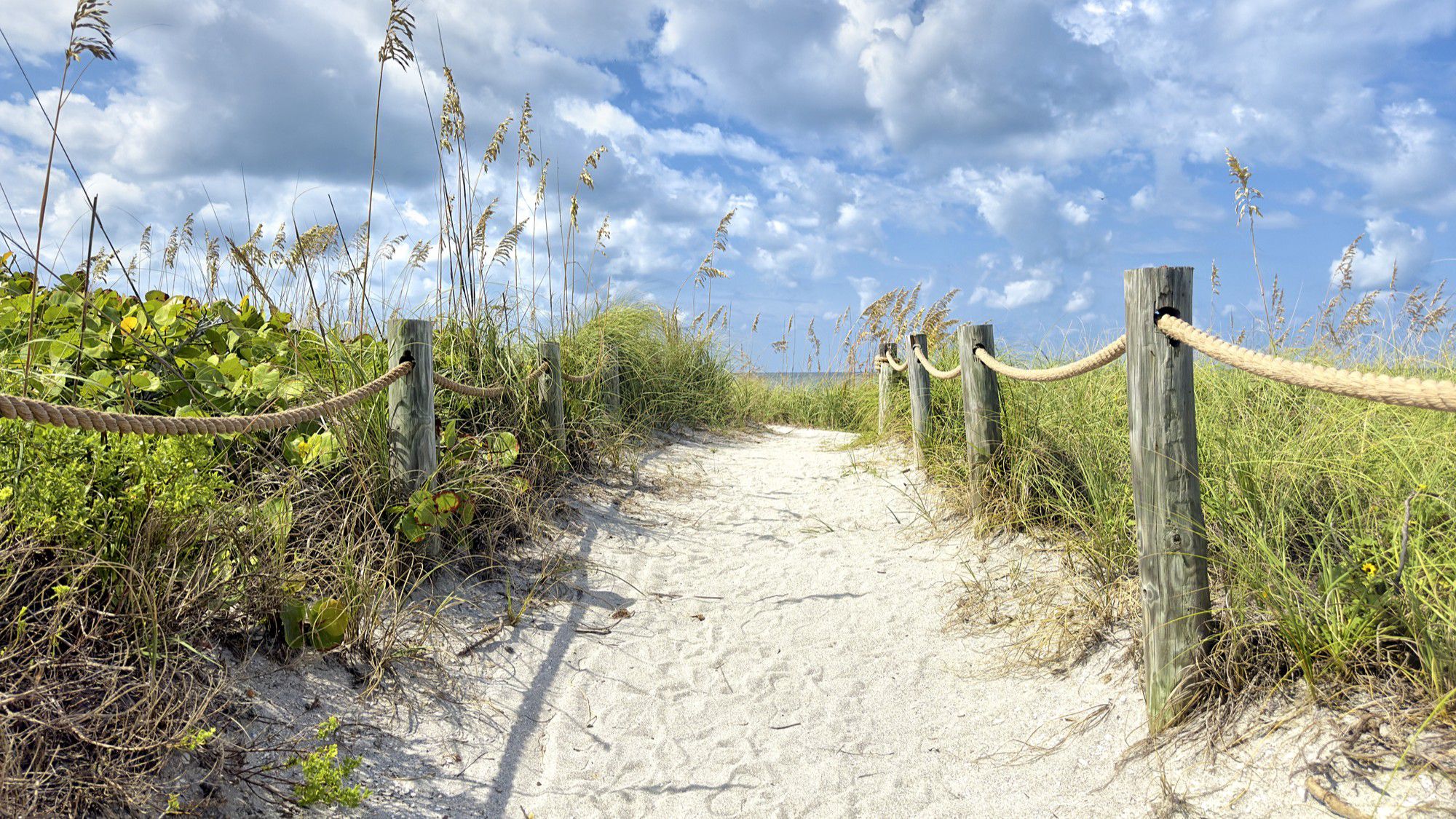 Pathway to the beach