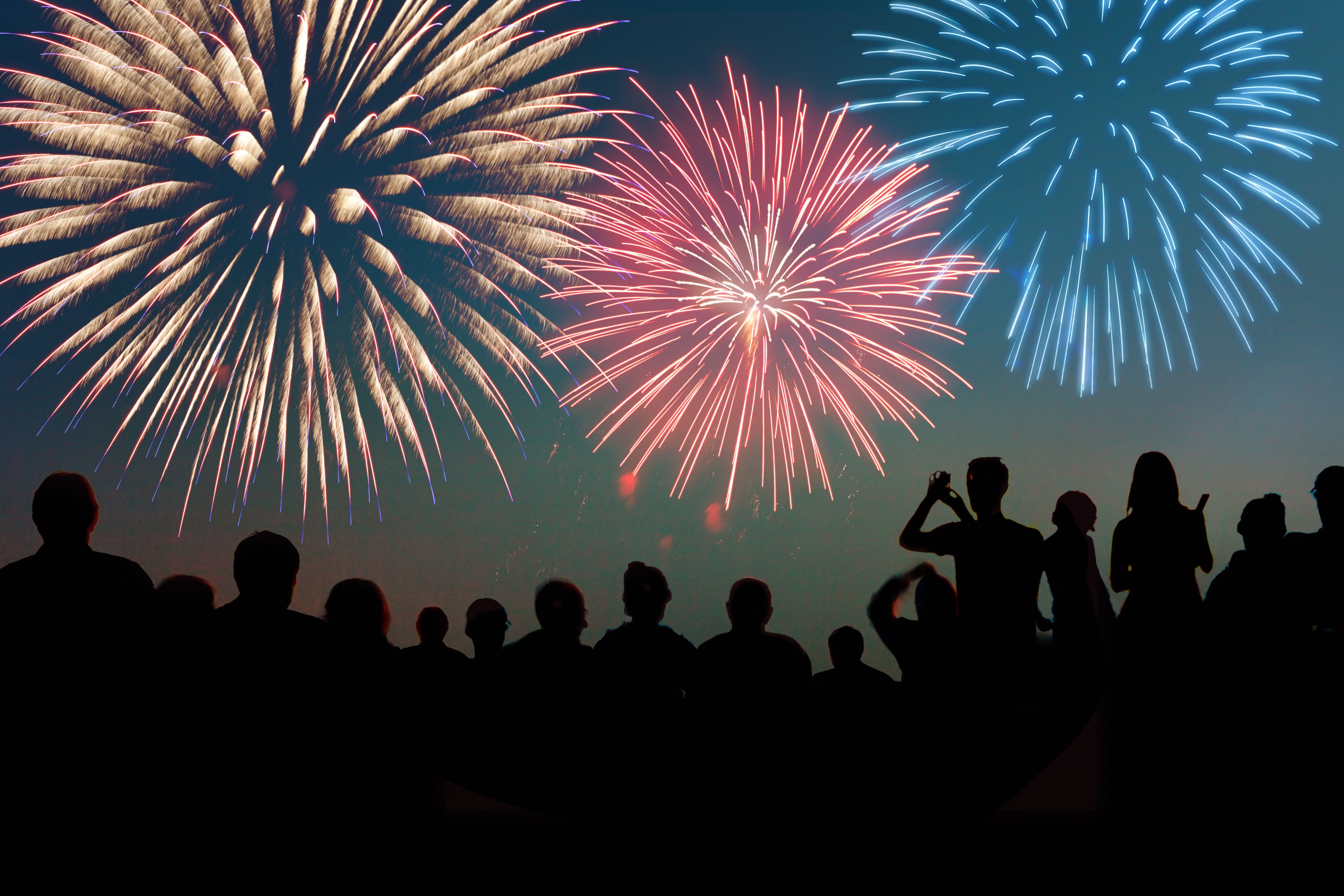 People watching a fireworks show.
