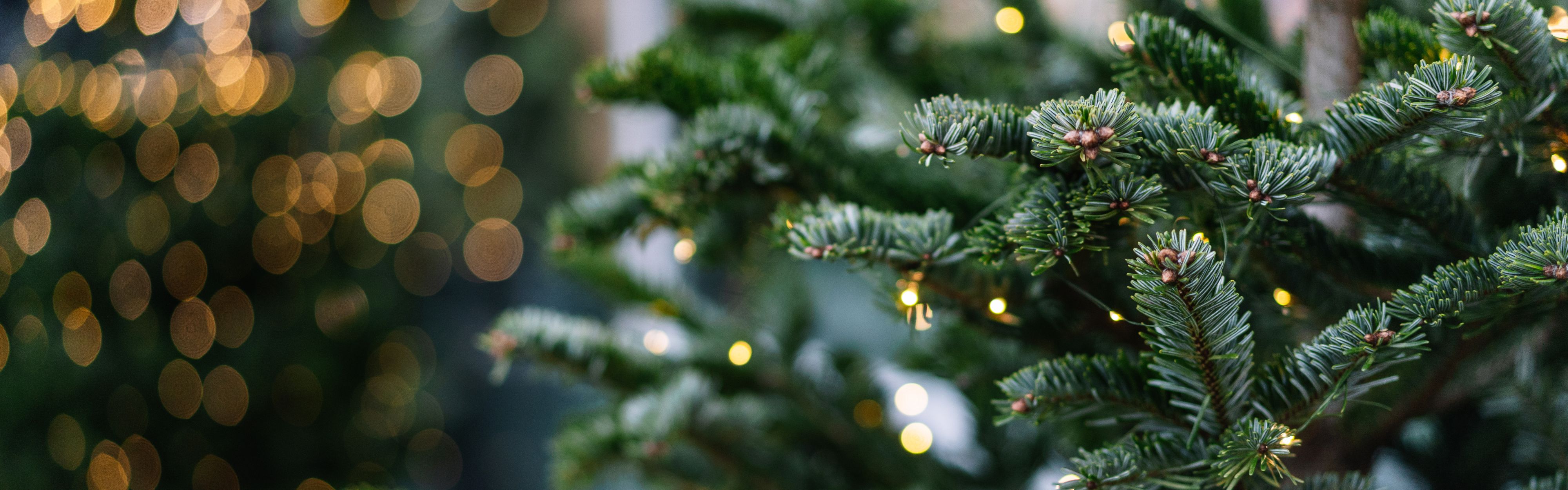 Christmas tree