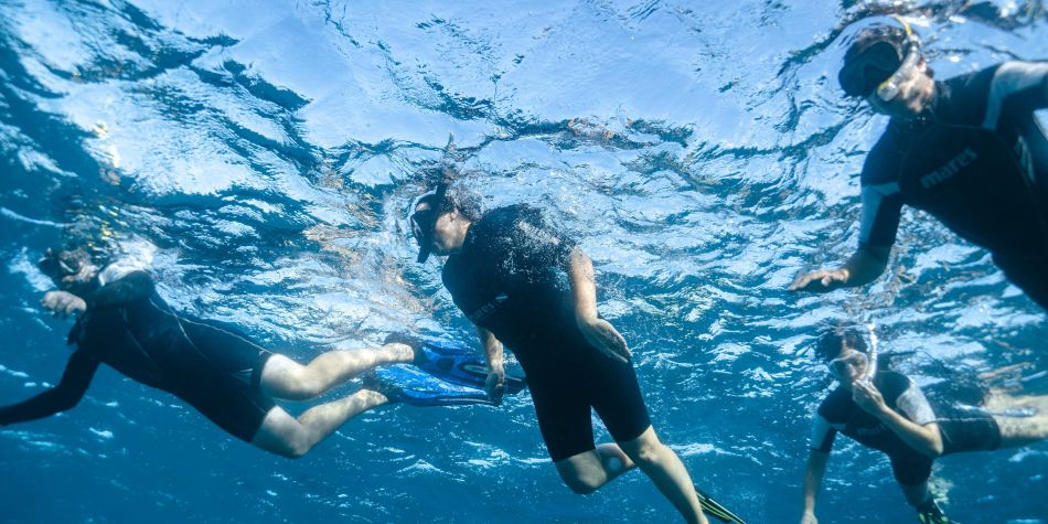 Snorkelers in the ocean.