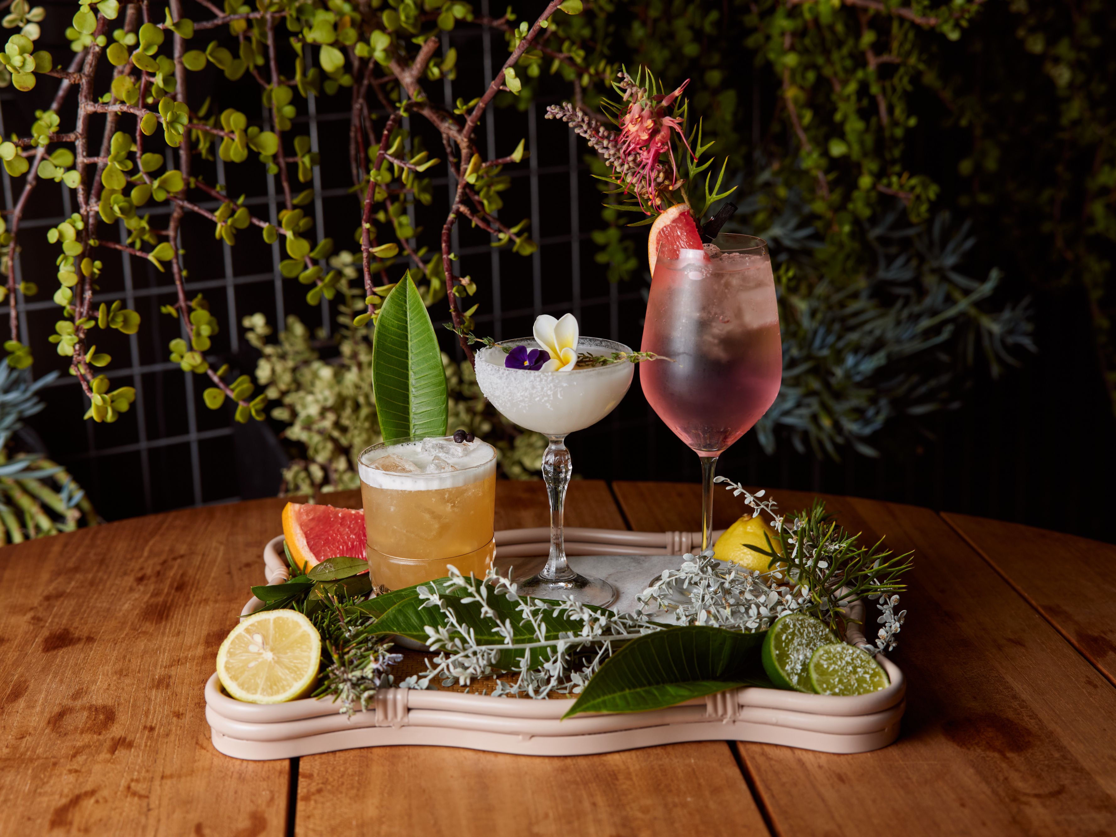 winter harvest drinks and greenery