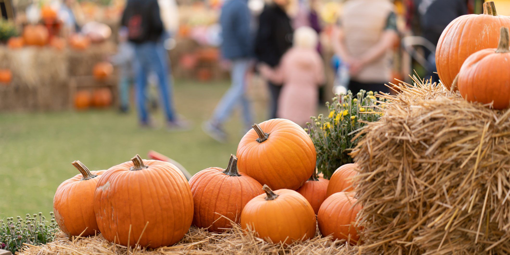 Food fun and festivals