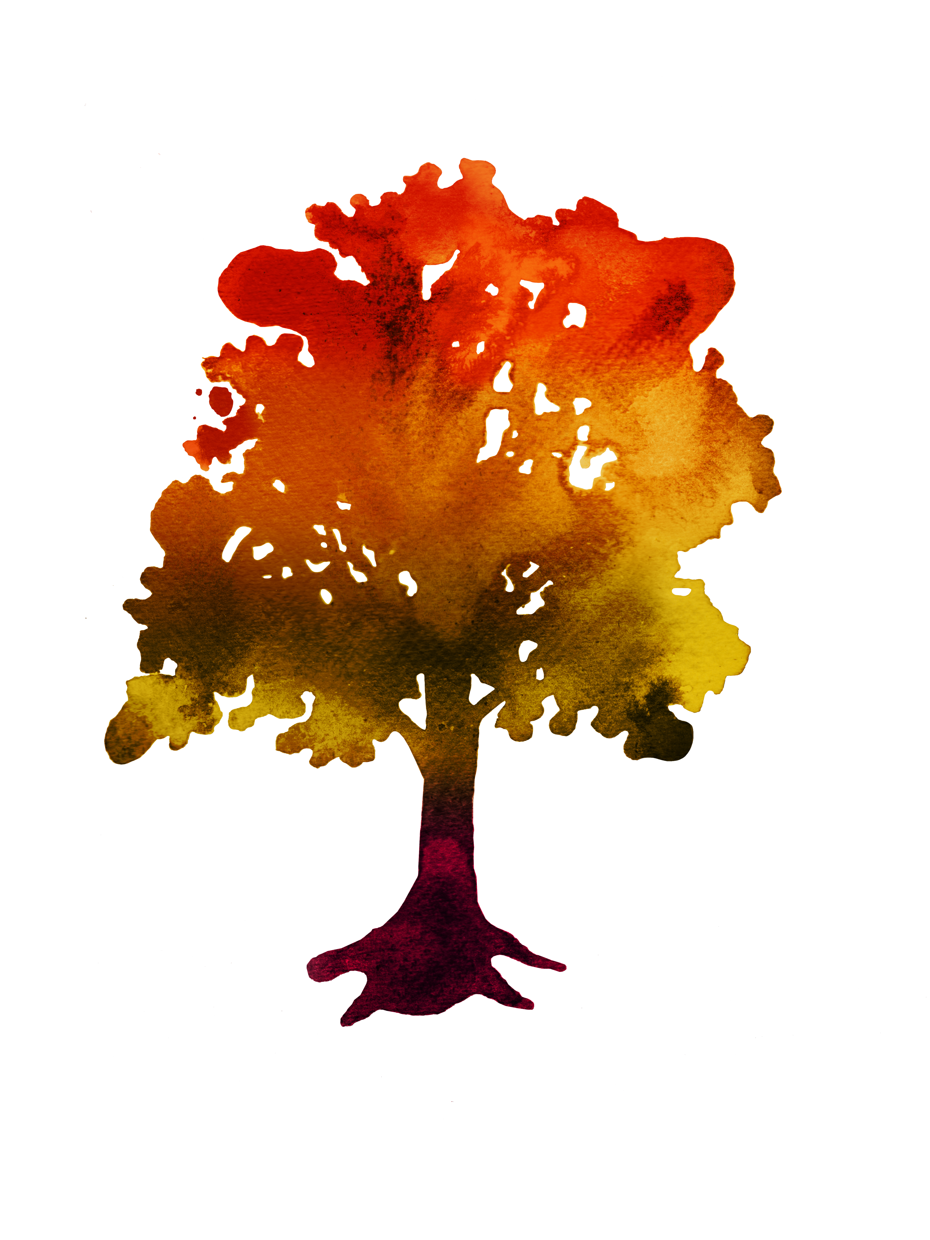 Hotel Indigo sketch of a tree.