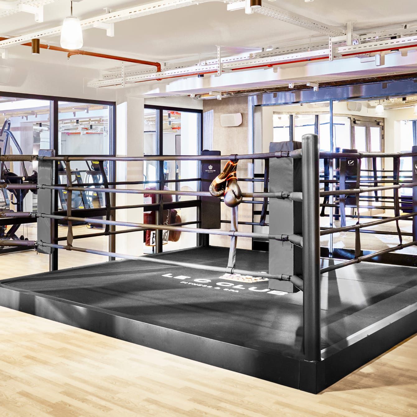 Võ đài trong phòng gym hiện đại, tràn ngập ánh sáng, với những chiếc găng tay treo trên dây thừng.