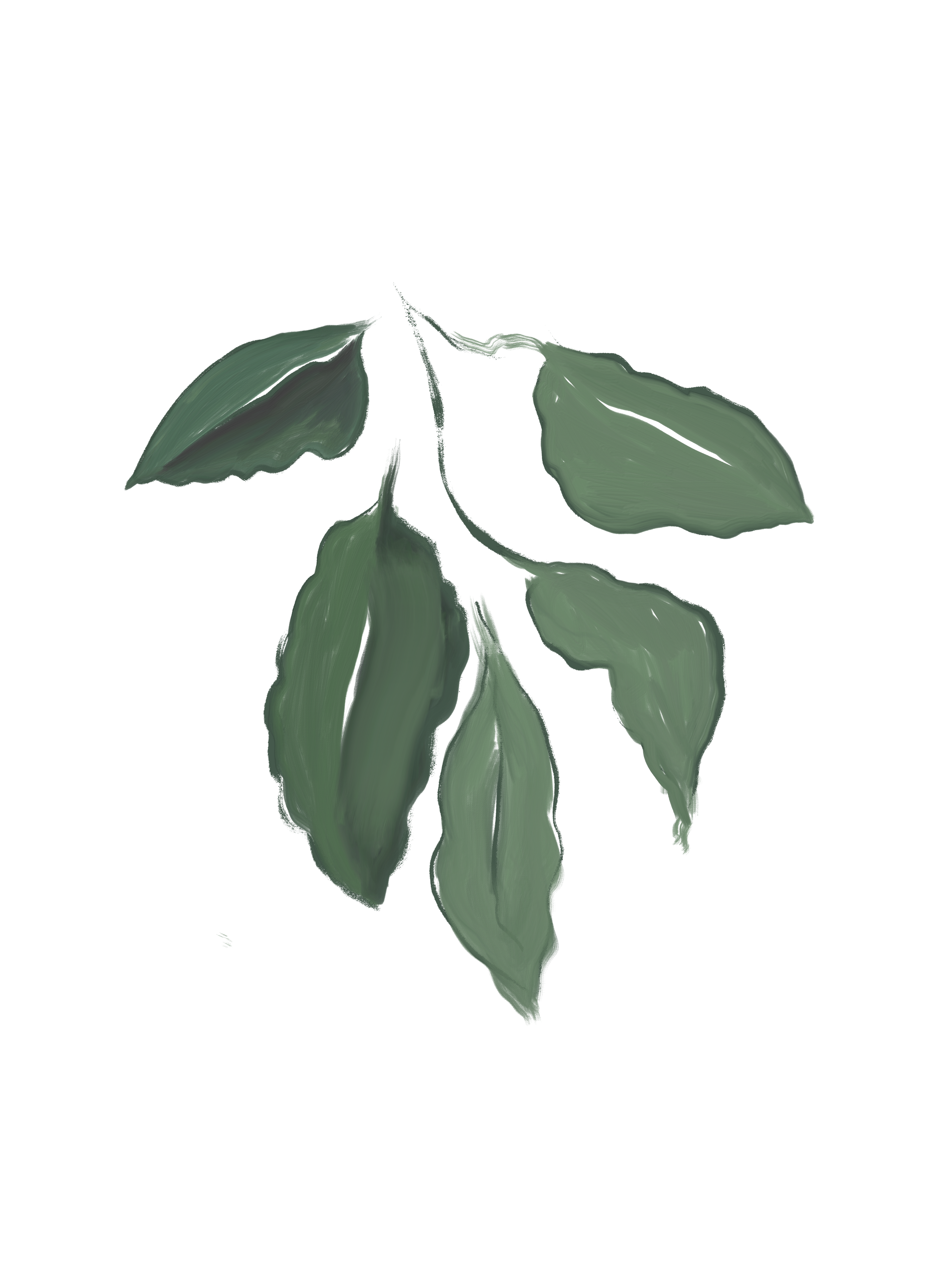 Hotel Indigo sketch of leafs
