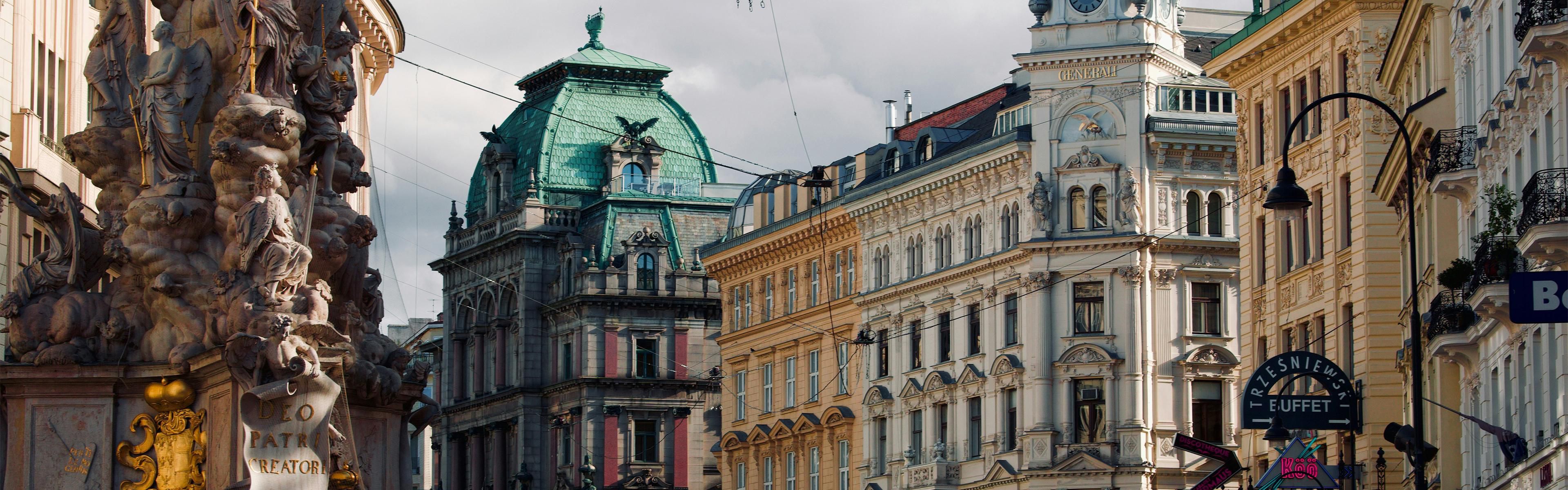 فندق روبي ليسي فيينا | المنطقة المحلية