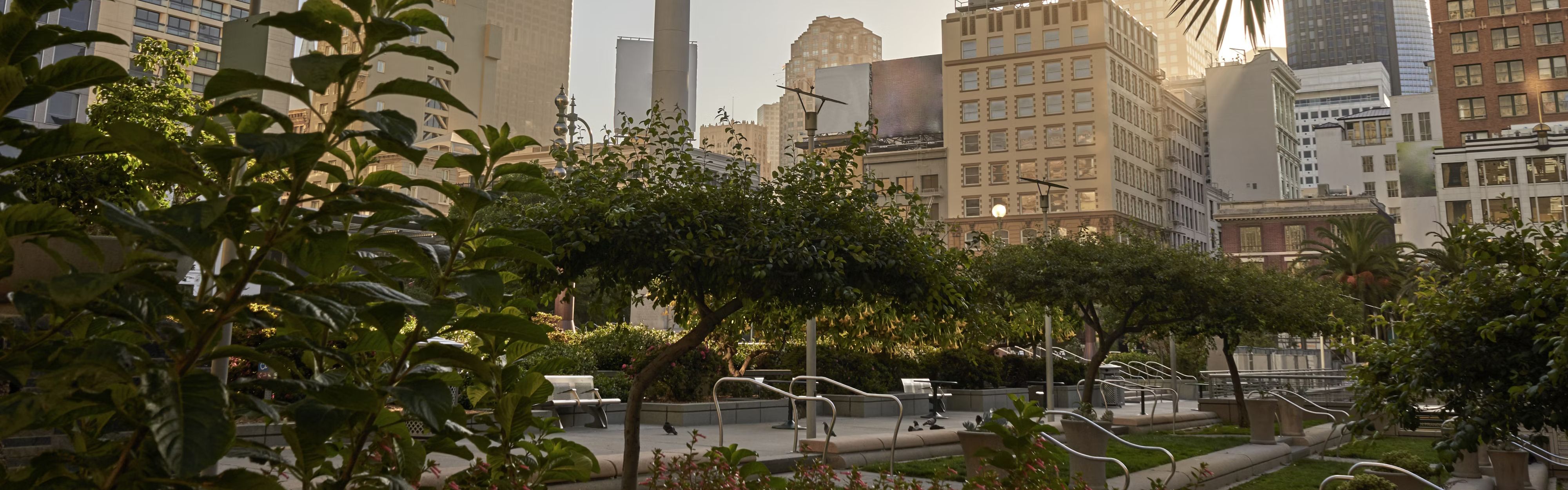San Francisco park area during summer.