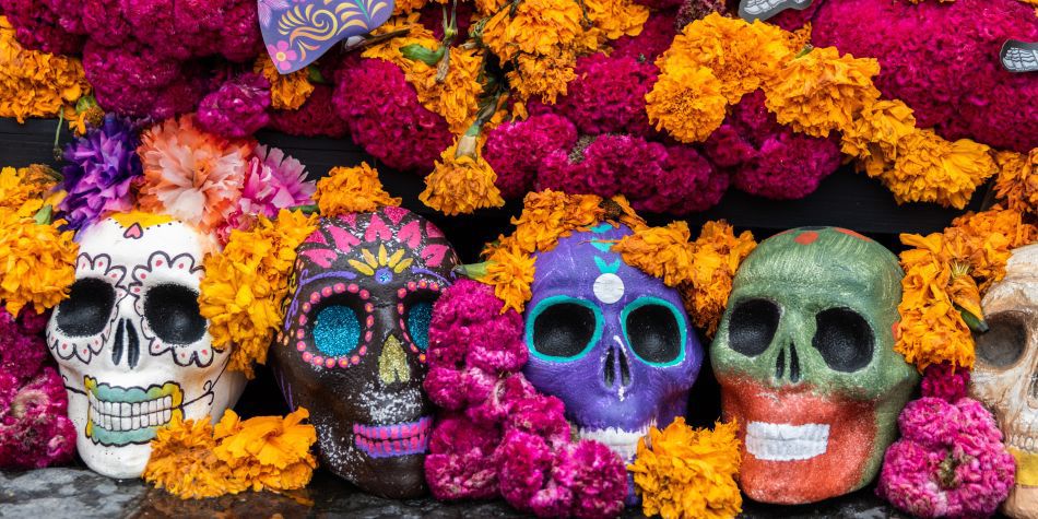 Colorful decorated skulls surrounded by marigold flowers display
