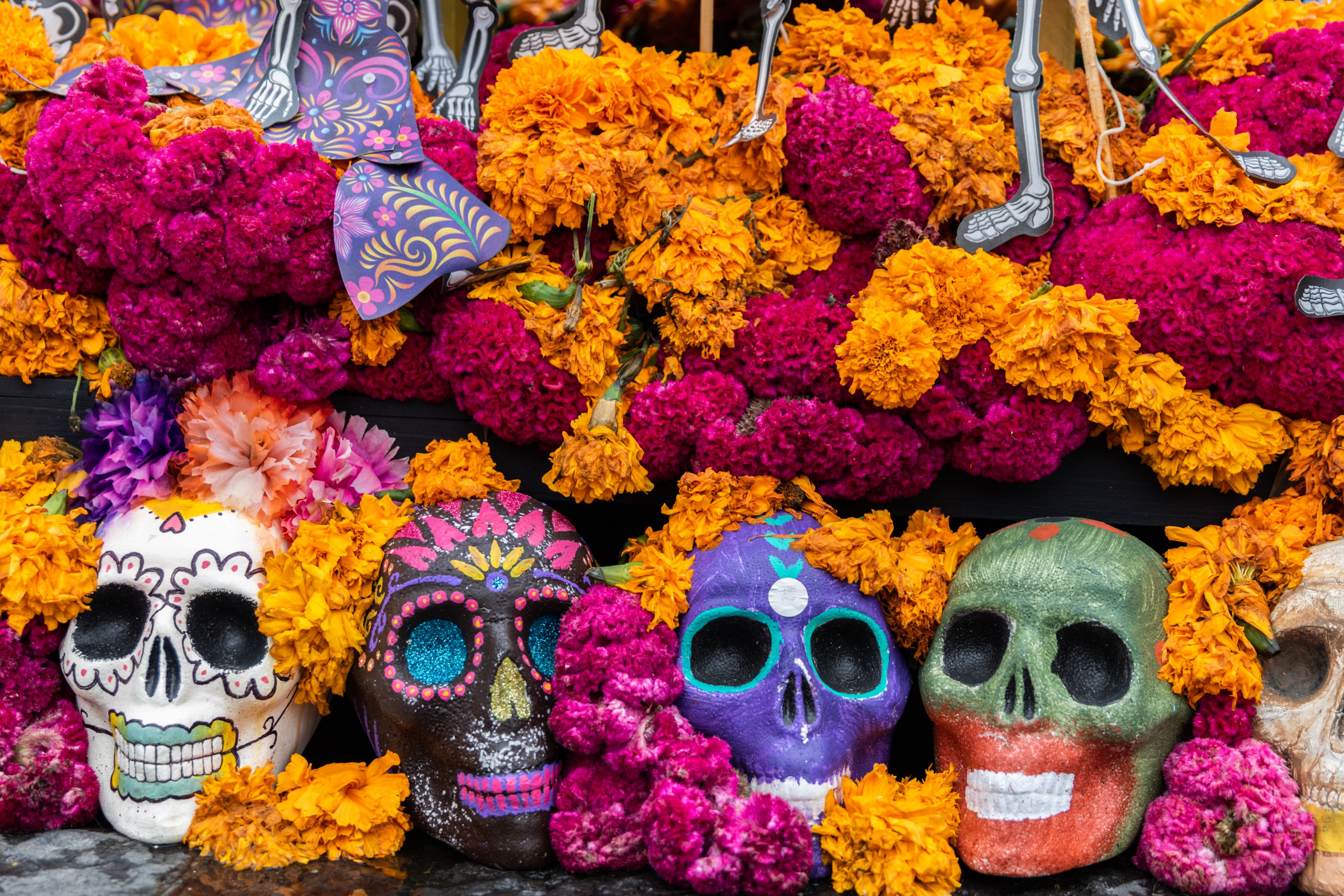 Colorful decorated skulls surrounded by marigold flowers display