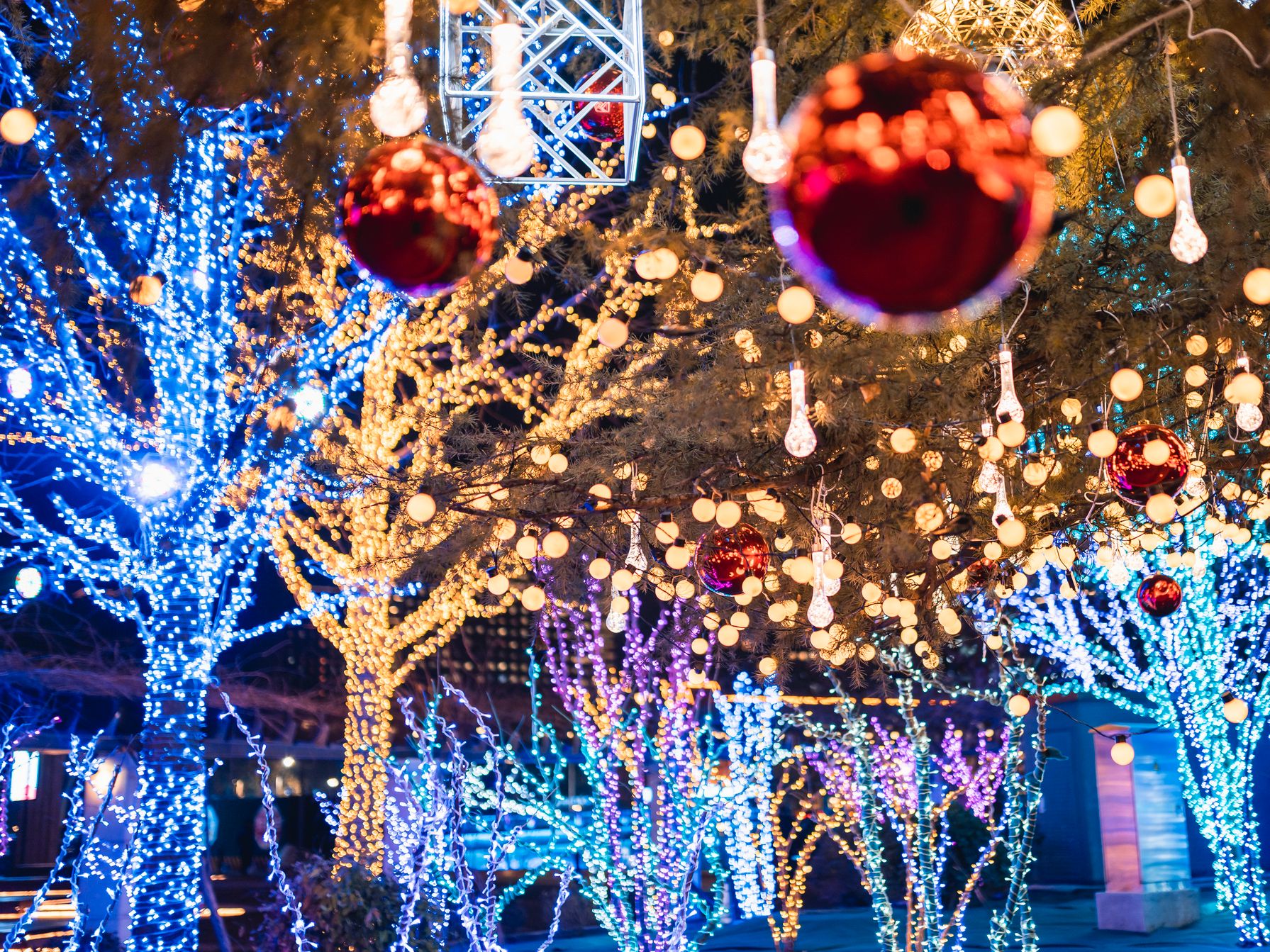 Christmas lights 