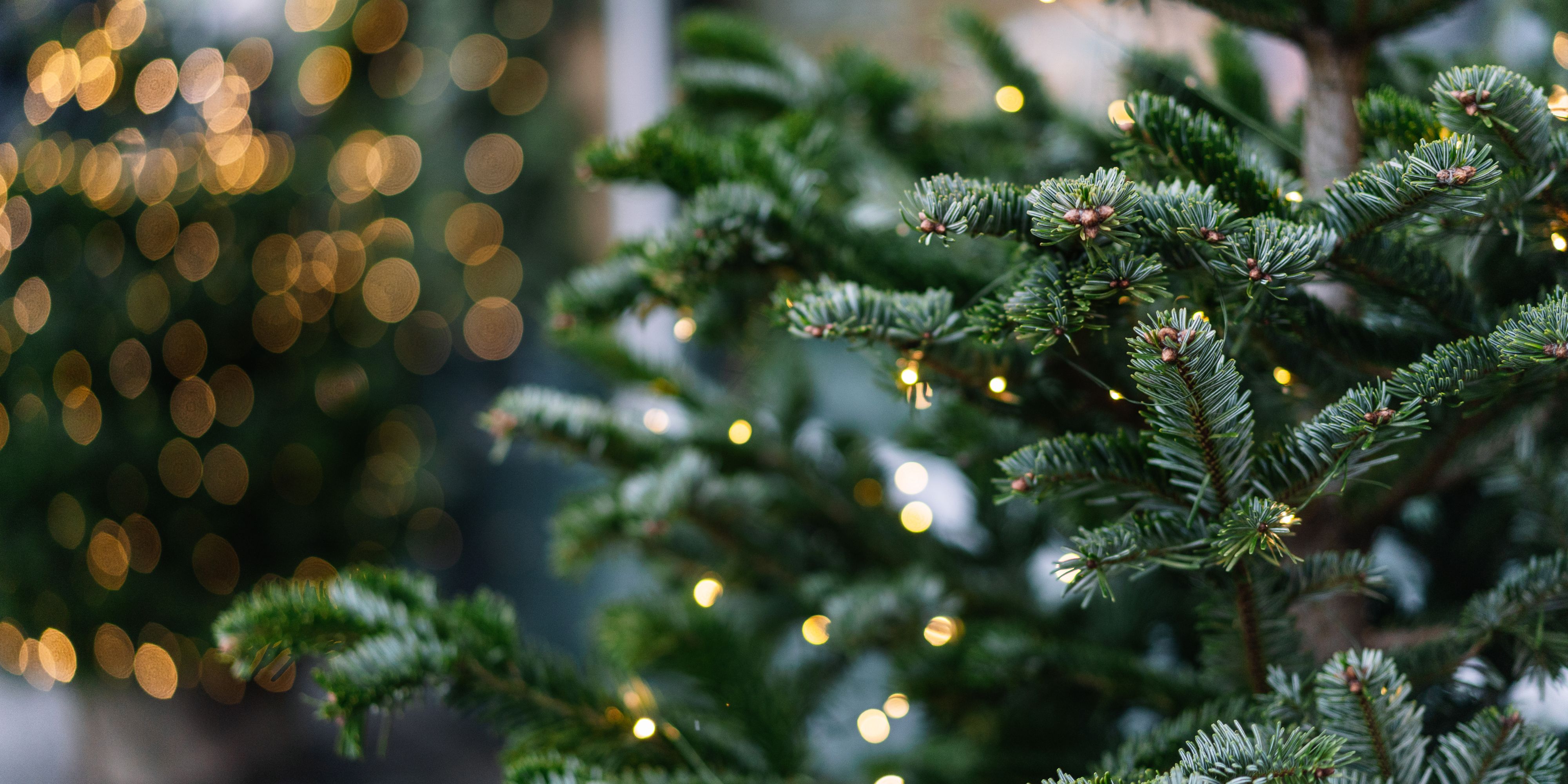 Christmas tree with lights