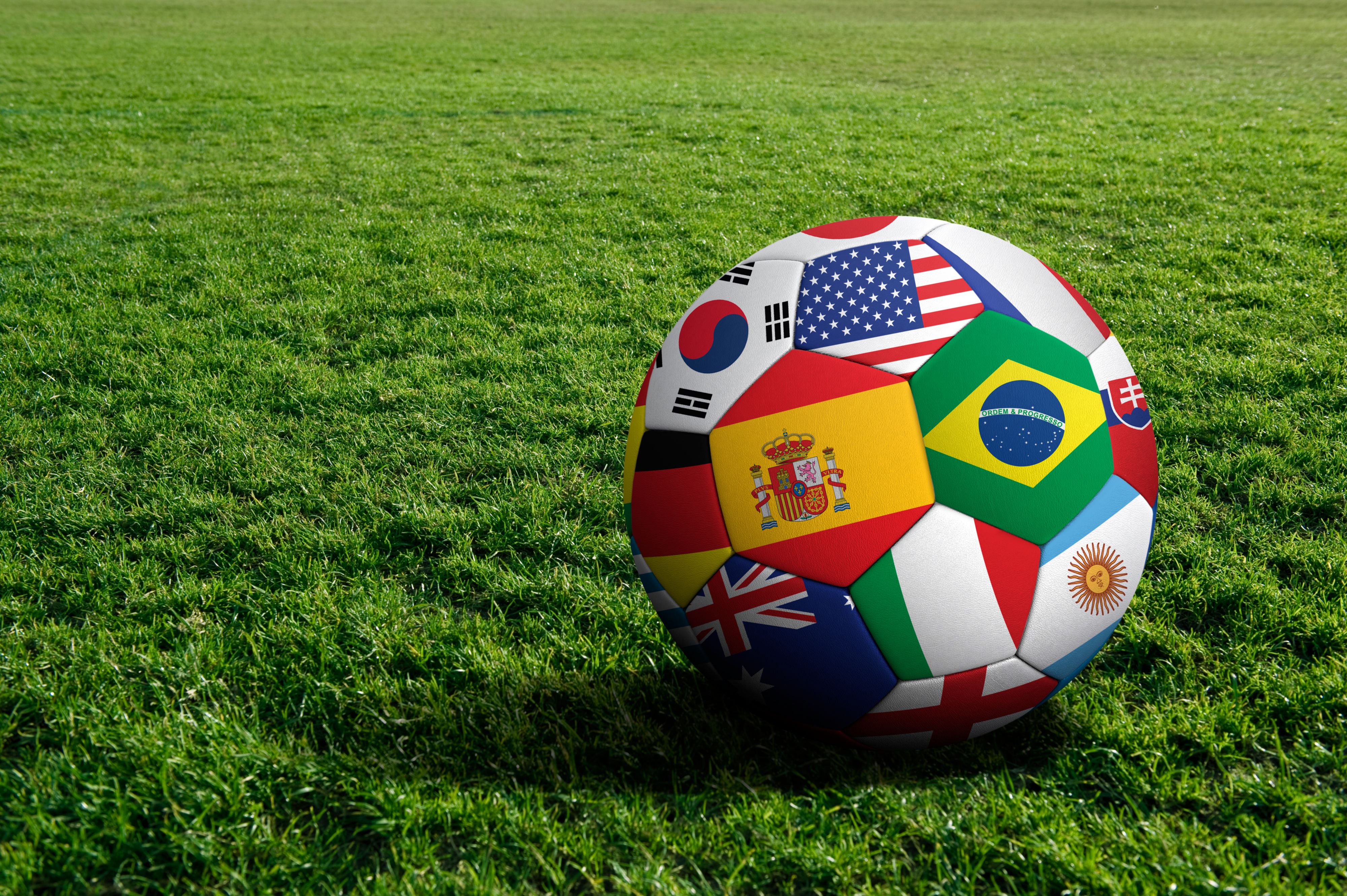 International soccer ball on green grass