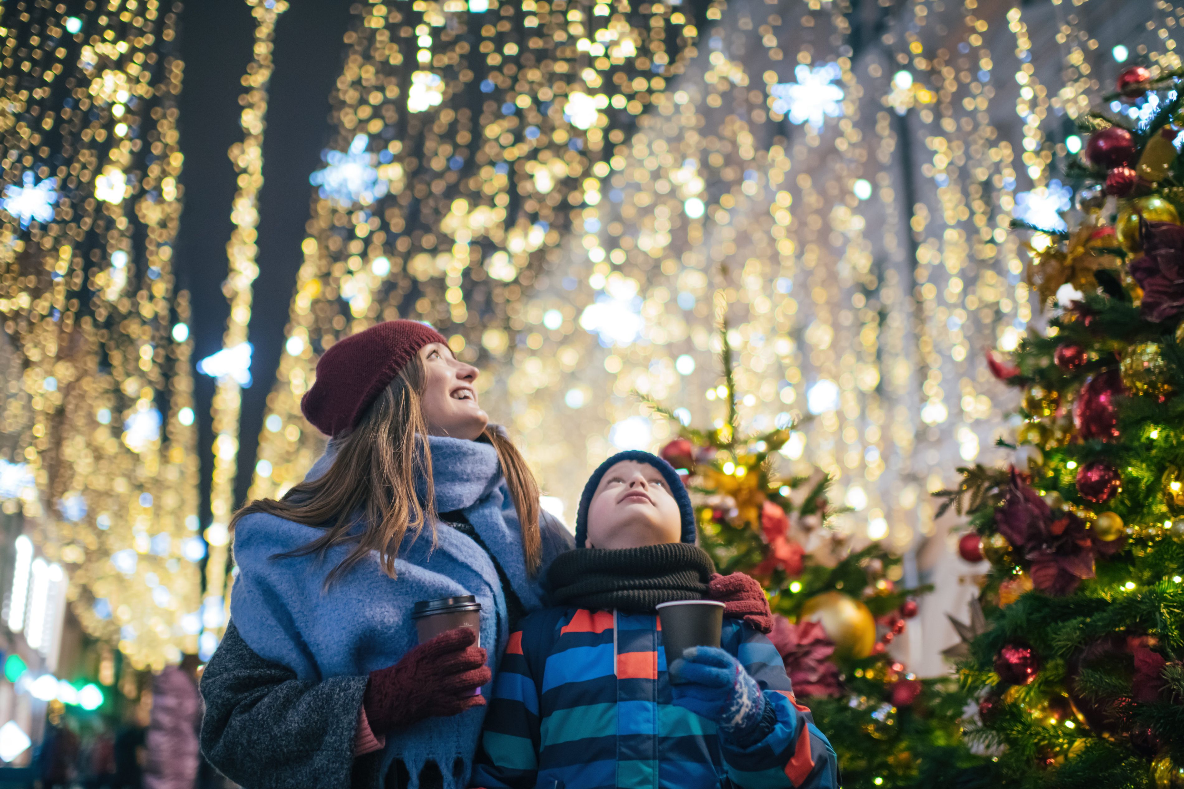 Holiday lights in garden