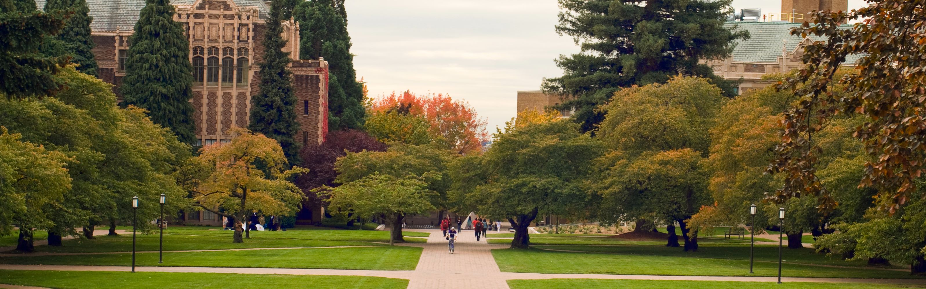 Quad at the University of Washington.