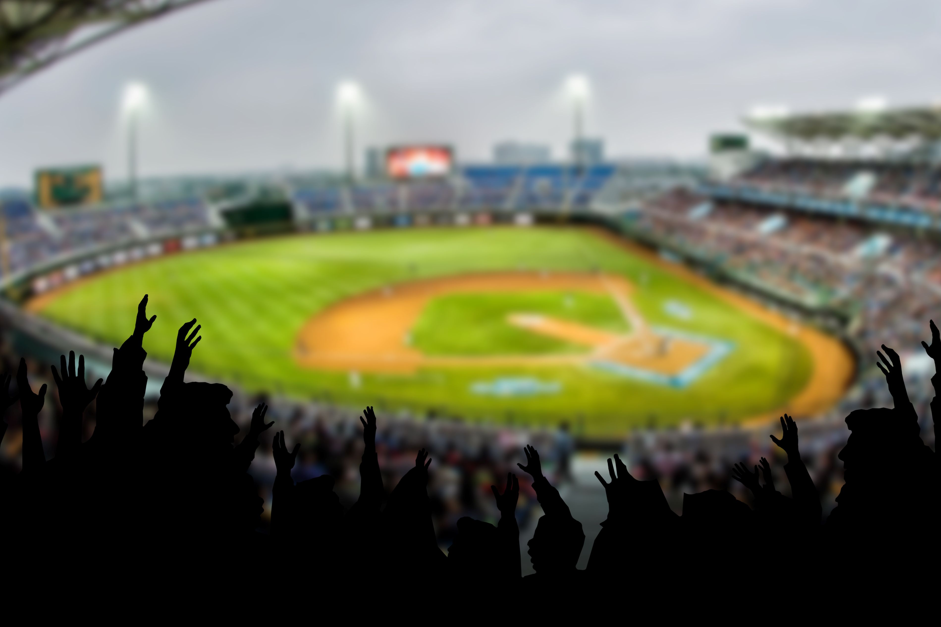 Fan perspective of baseball field
